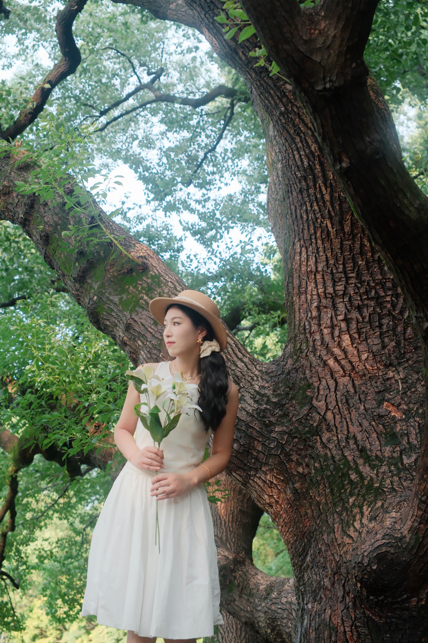 十七的猫 – 《在百年香樟树下》[9P] 插图5