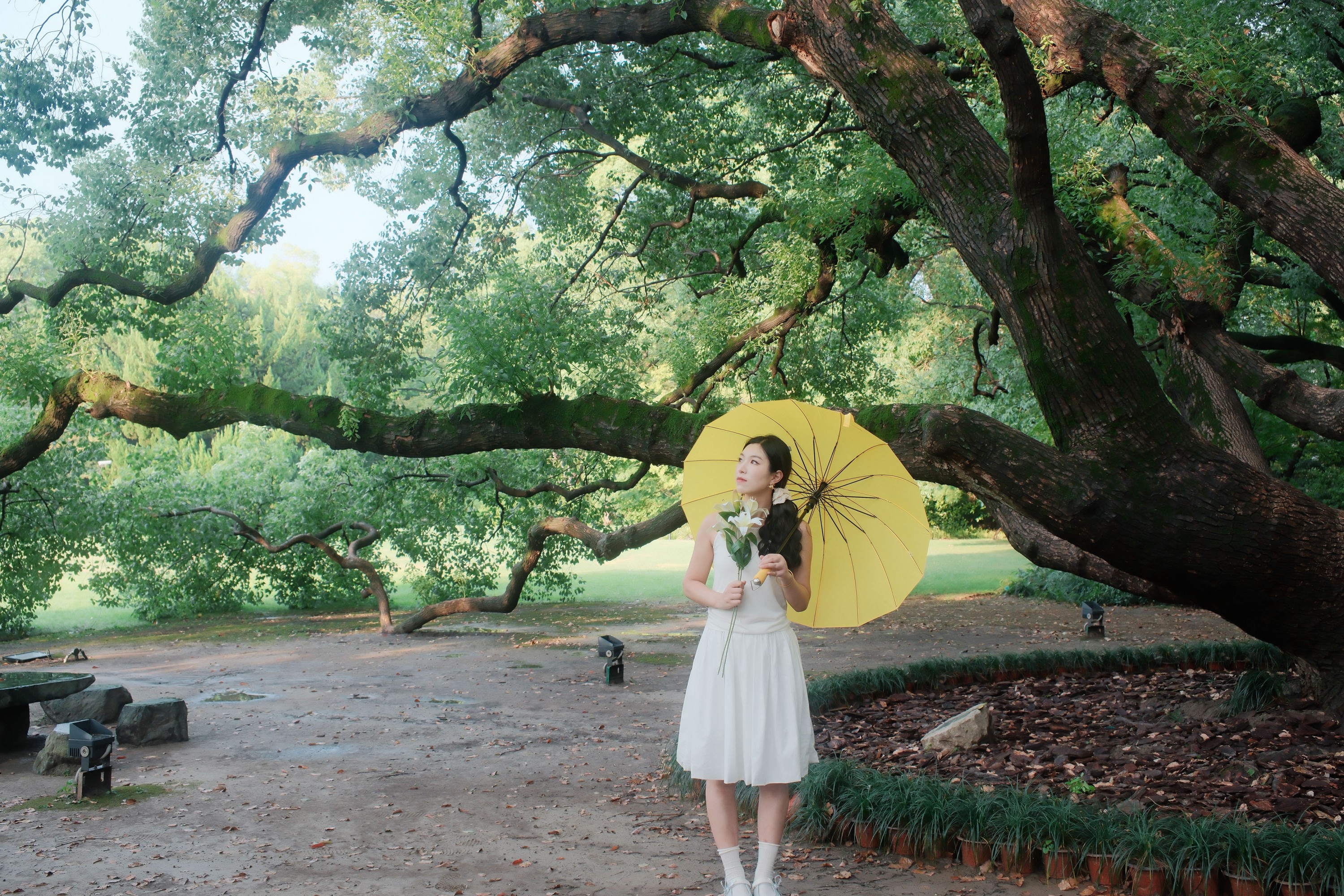 十七的猫 – 《在百年香樟树下》[9P] 插图3