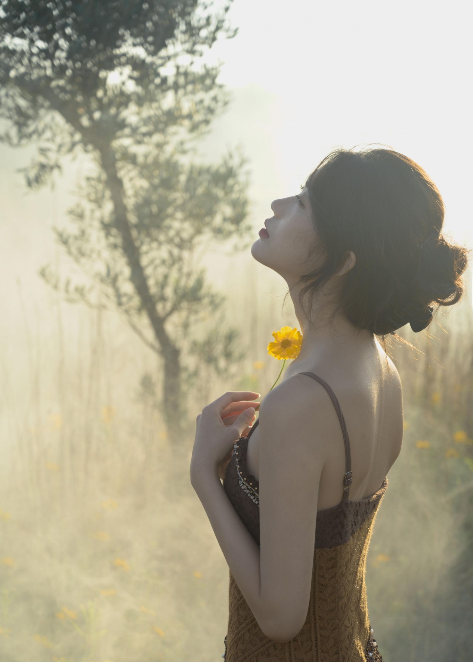  – 《大理》[15P] 插图2