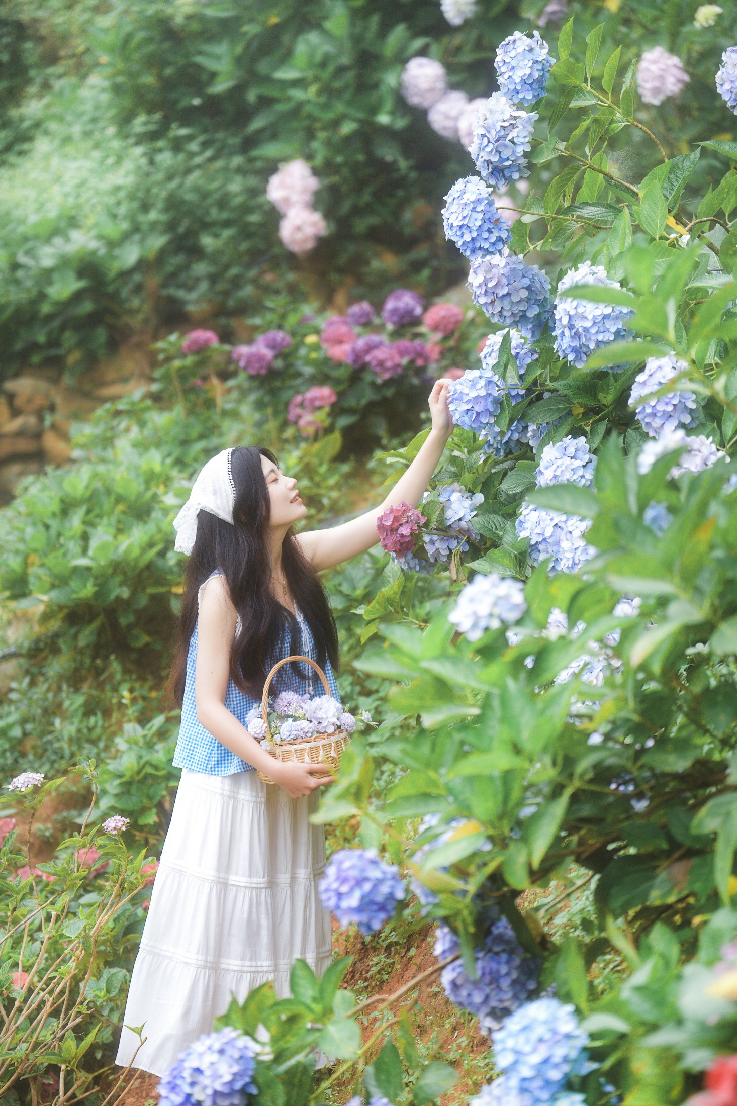 阿咩 – 《日系人像拍摄-绣球花》[19P] 插图5