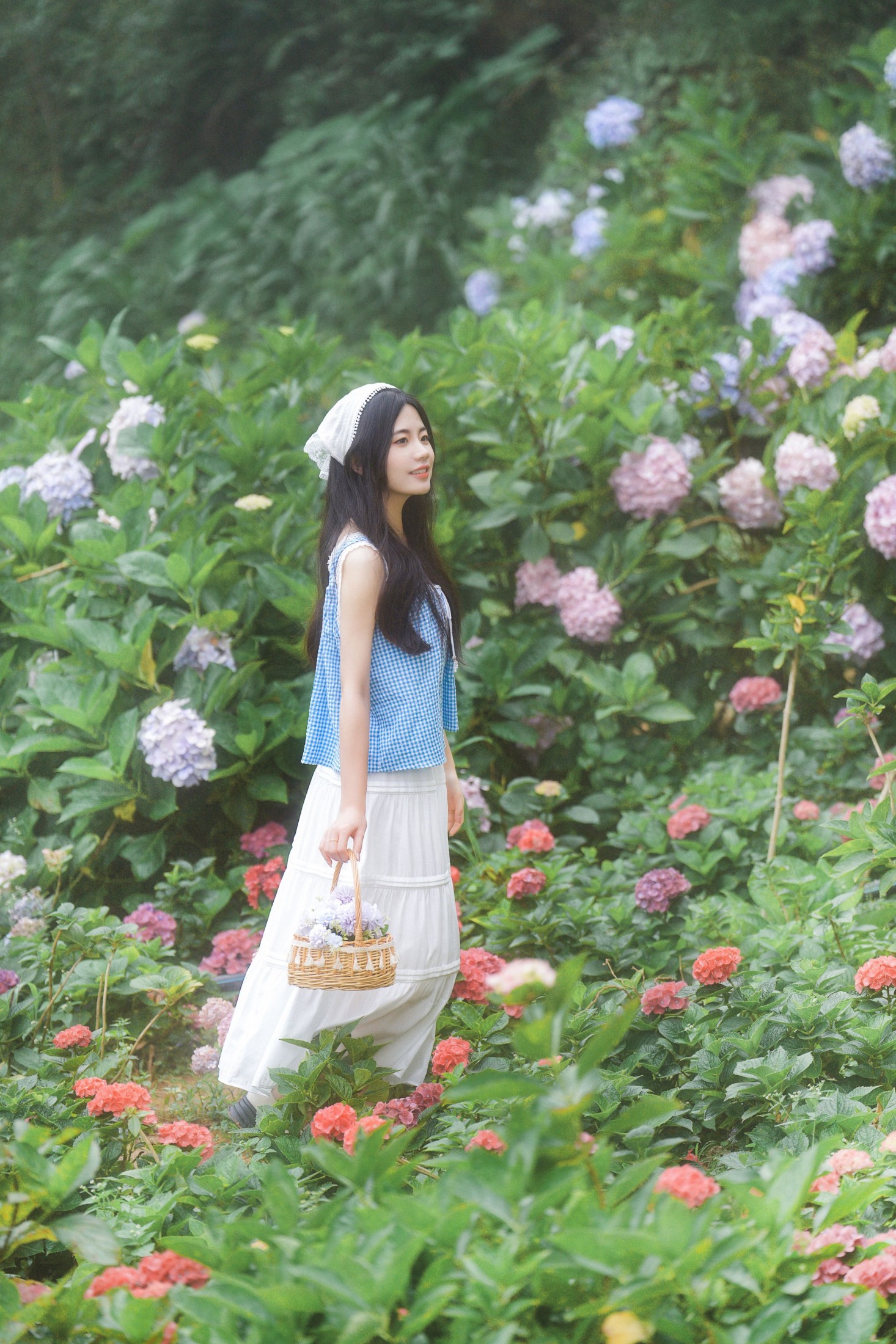 阿咩 – 《日系人像拍摄-绣球花》[19P] 插图3