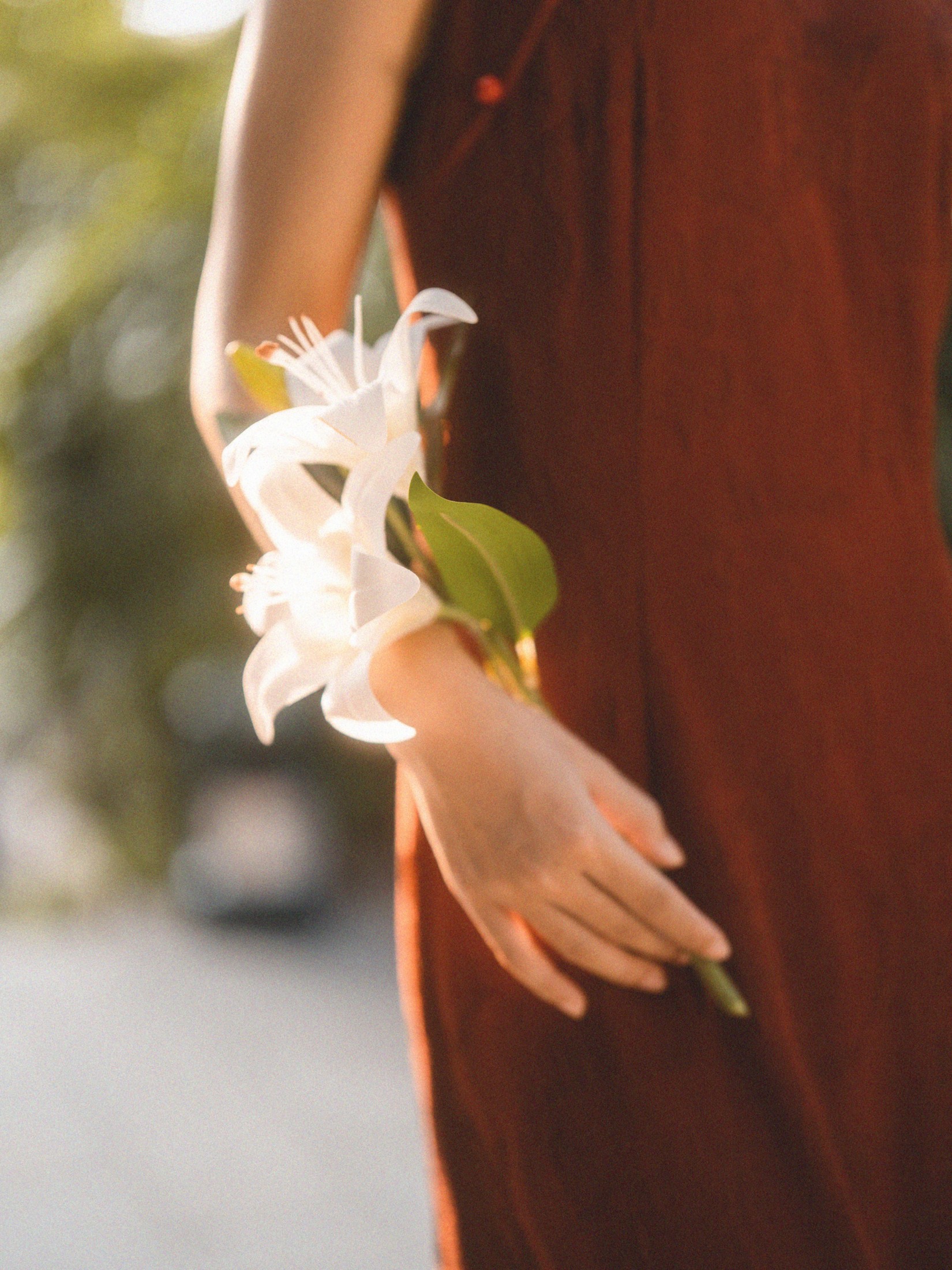 禾里雪 – 《国之红》[11P] 插图5