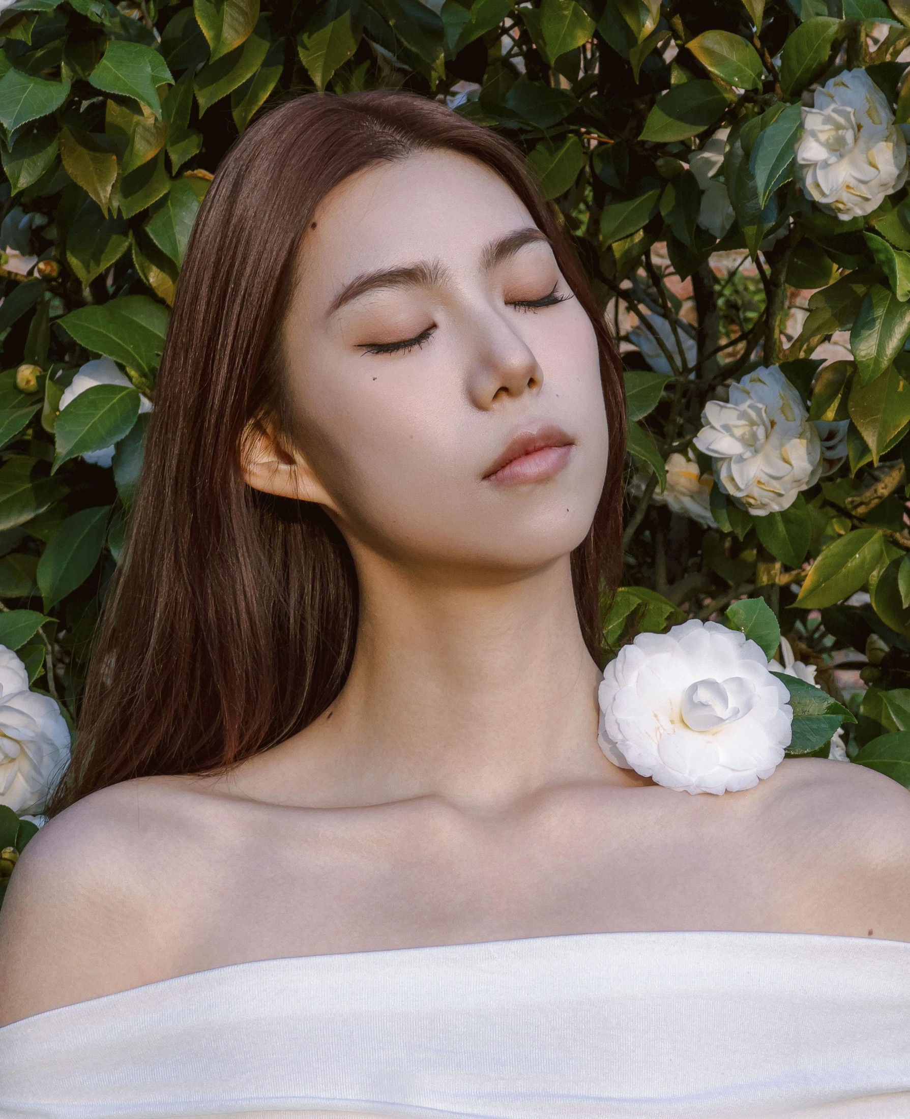 李萍 – 《Camellia》[20P] 插图2