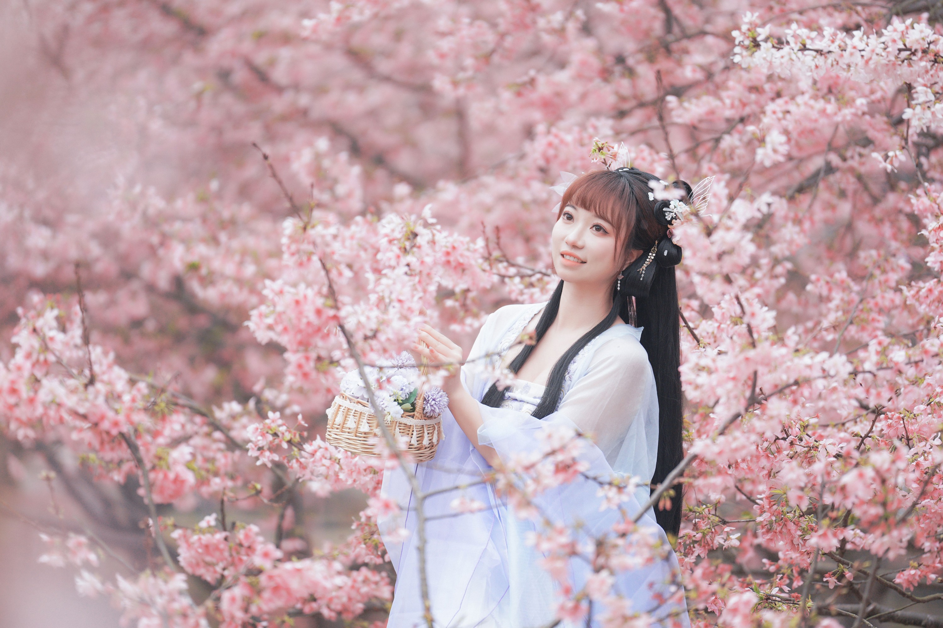 阿咩咩咩 – 《古风人像拍摄-樱花-陌上花开》[16P] 插图5