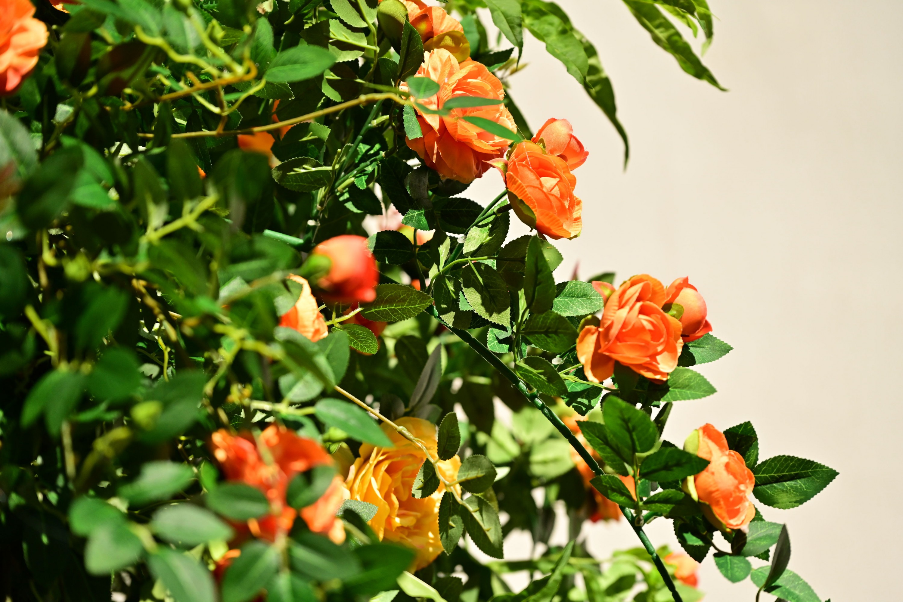  – 《绿意重渡沟》[10P] 插图5