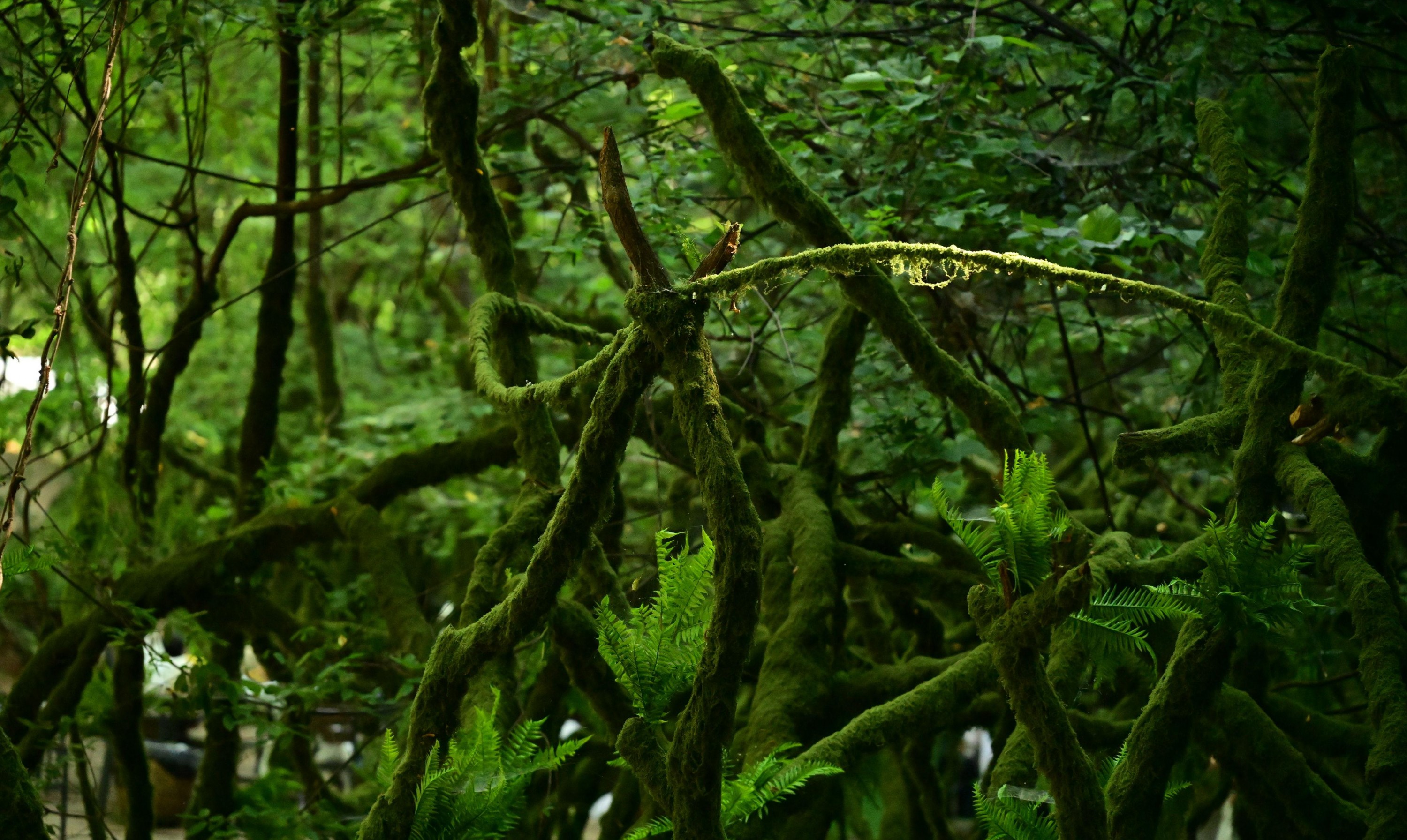  – 《绿意重渡沟》[10P] 插图2