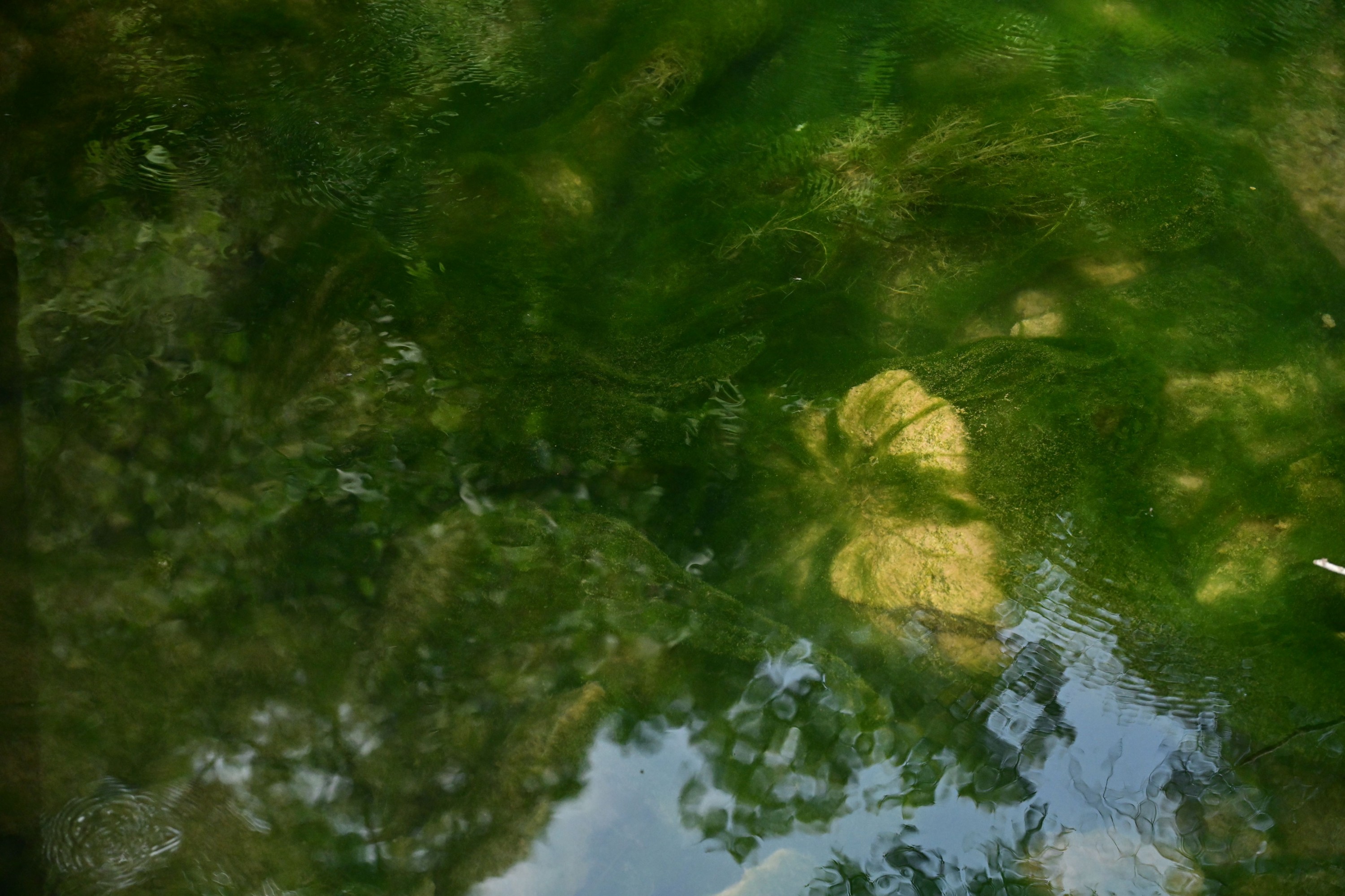  – 《山西长治青龙峡》[10P] 插图4