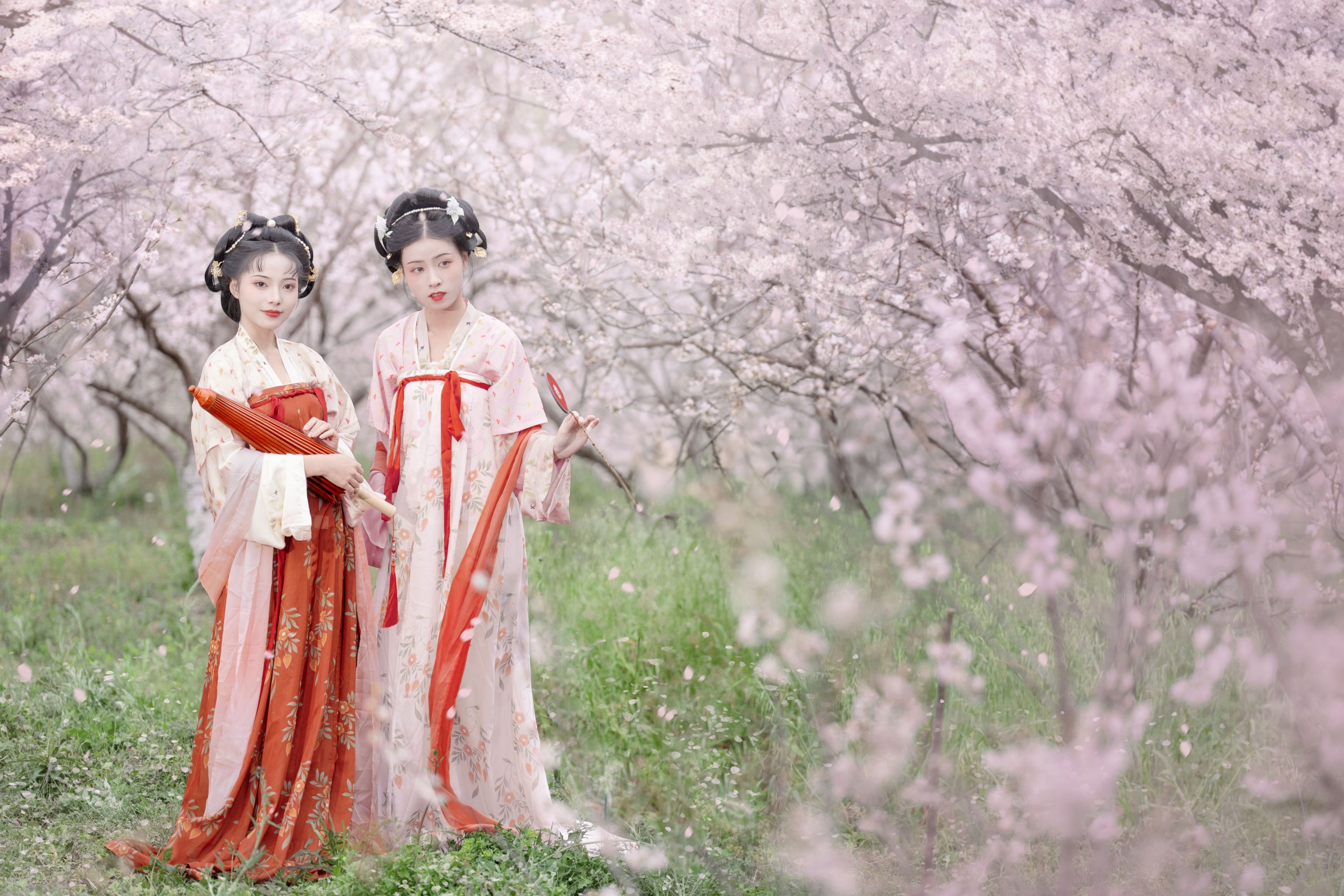 遥七不卖鸡毛菜 佳妃 – 《一朝春雨落·十里春花开》[9P] 插图3