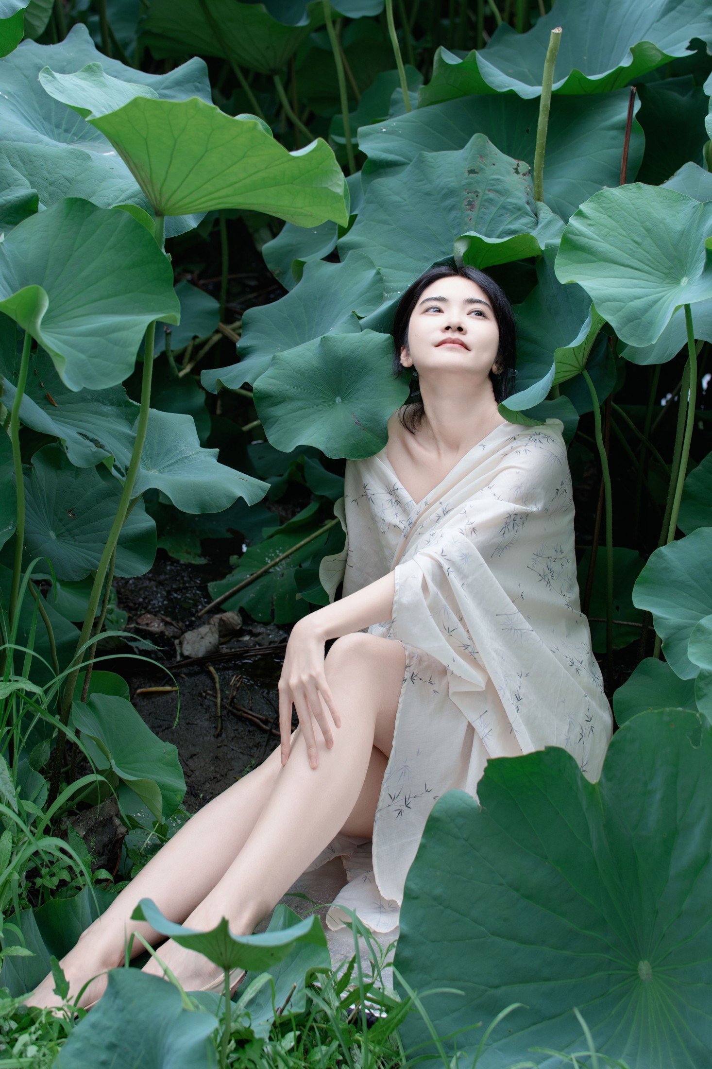 丹 – 《夏荷之殇》[32P]-66COS