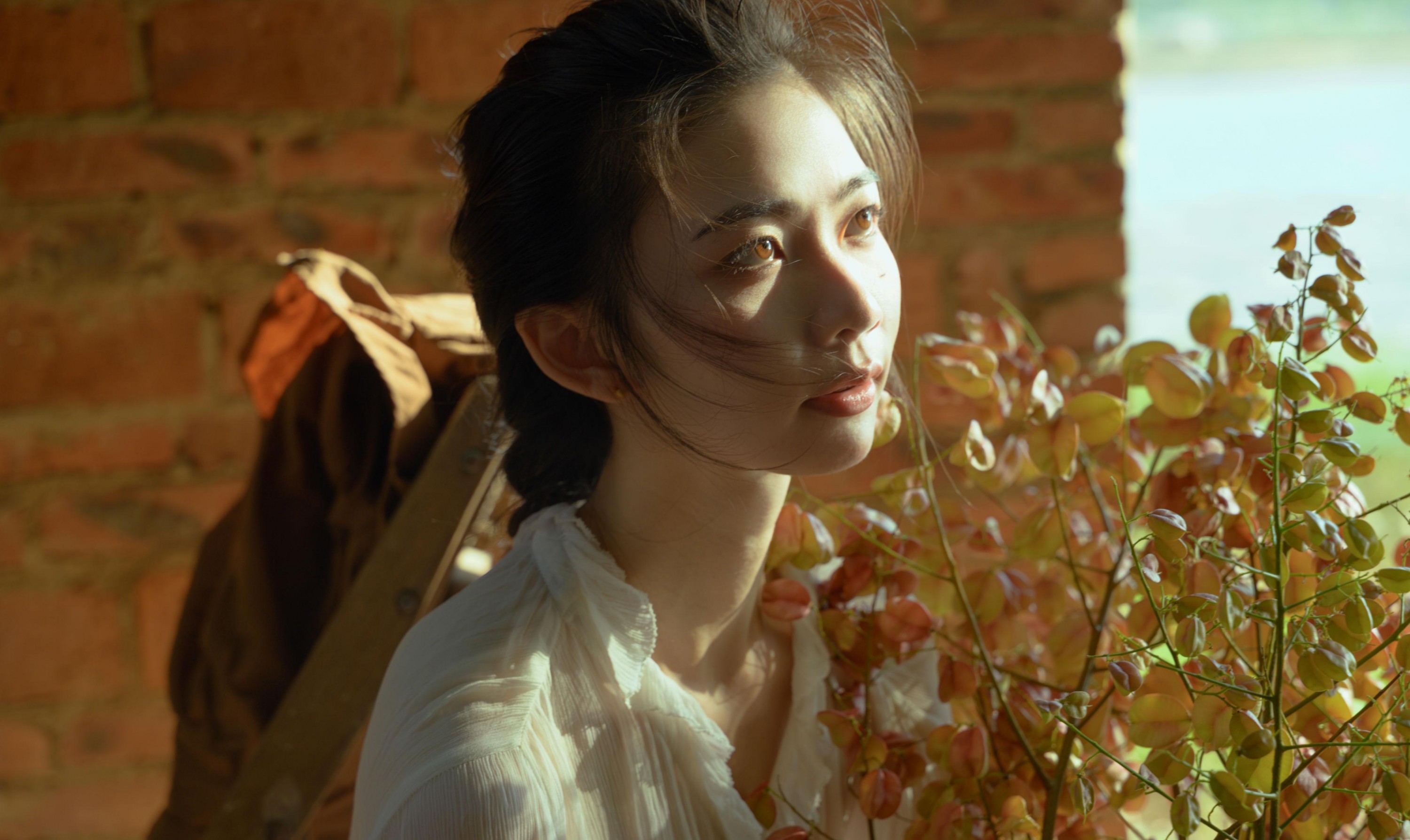 小张 – 《栾树的秋天》[42P] 插图2