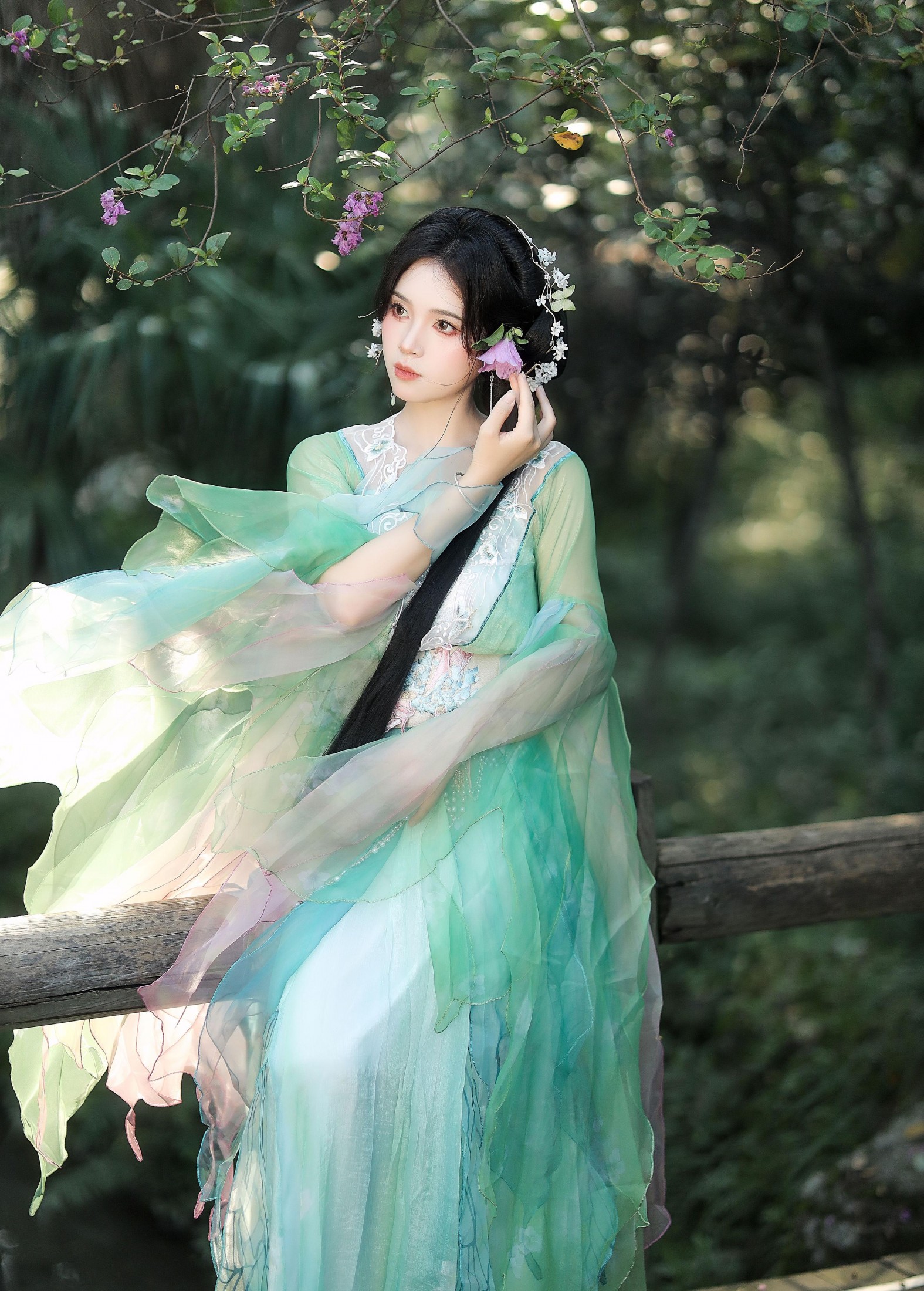  – 《绿野仙踪》[9P] 插图2