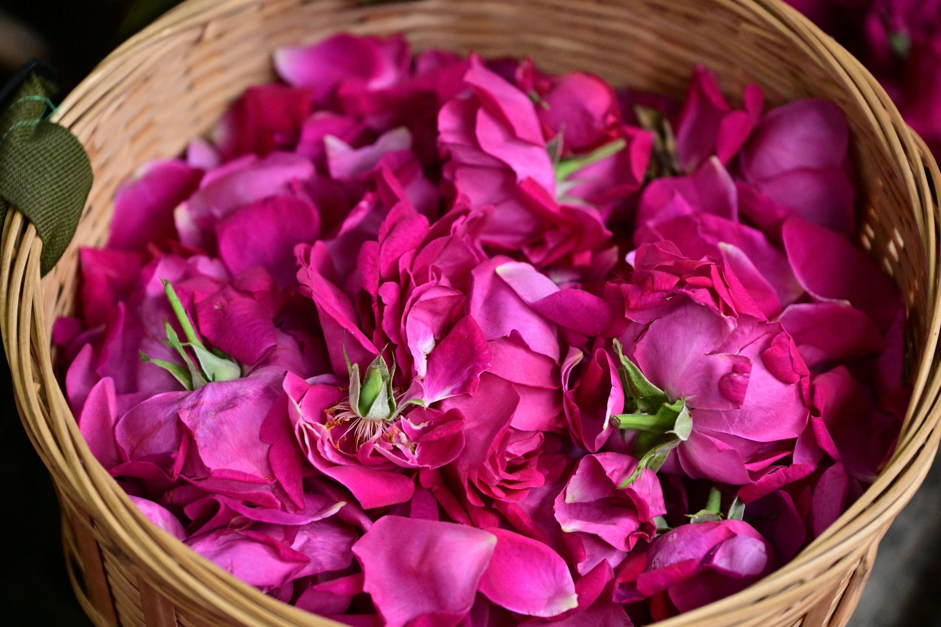  – 《鲜花饼店的玫瑰》[16P] 插图5