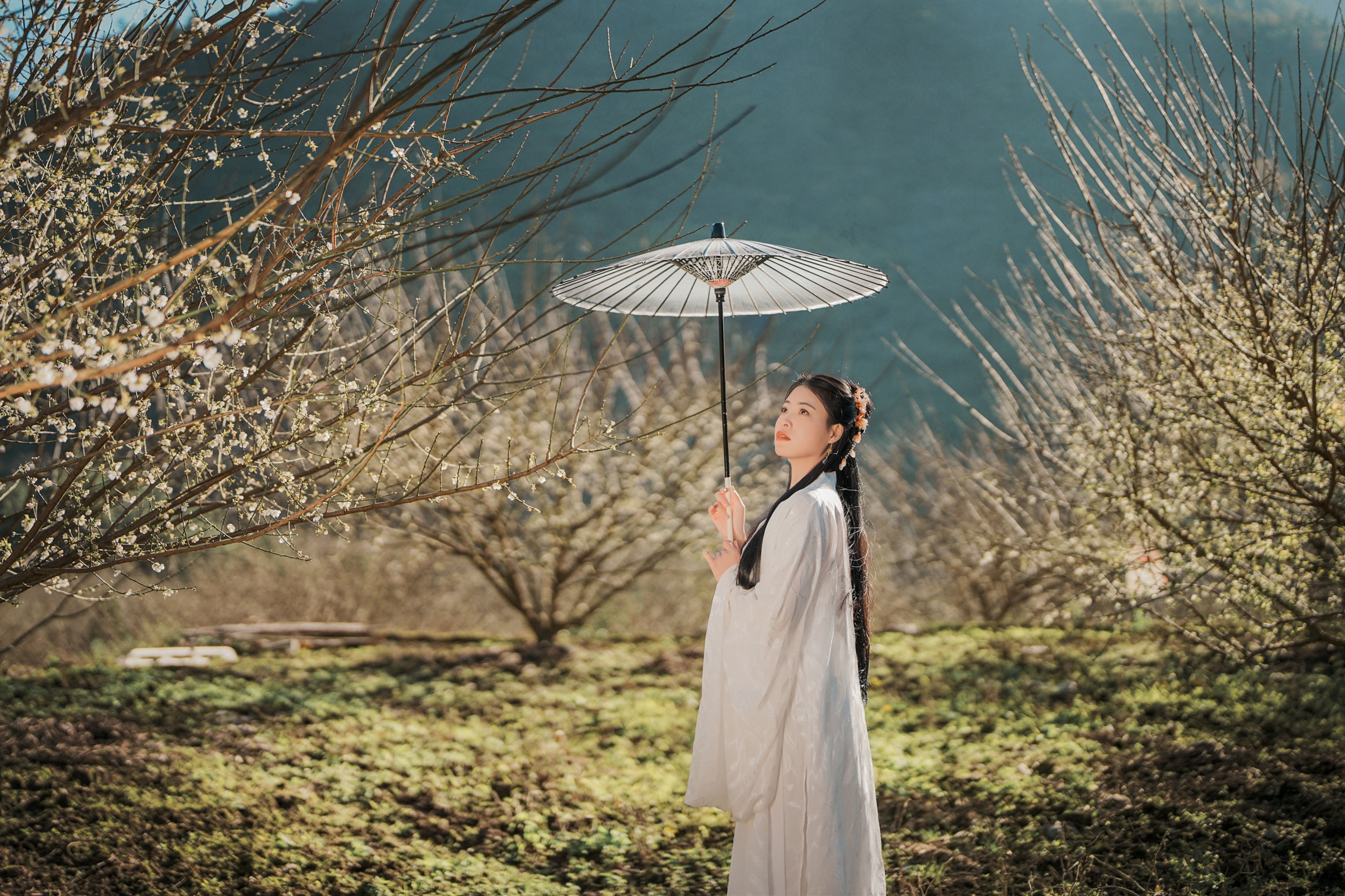 张秋华 – 《古风人像拍摄-梅花-张秋华》[16P] 插图3