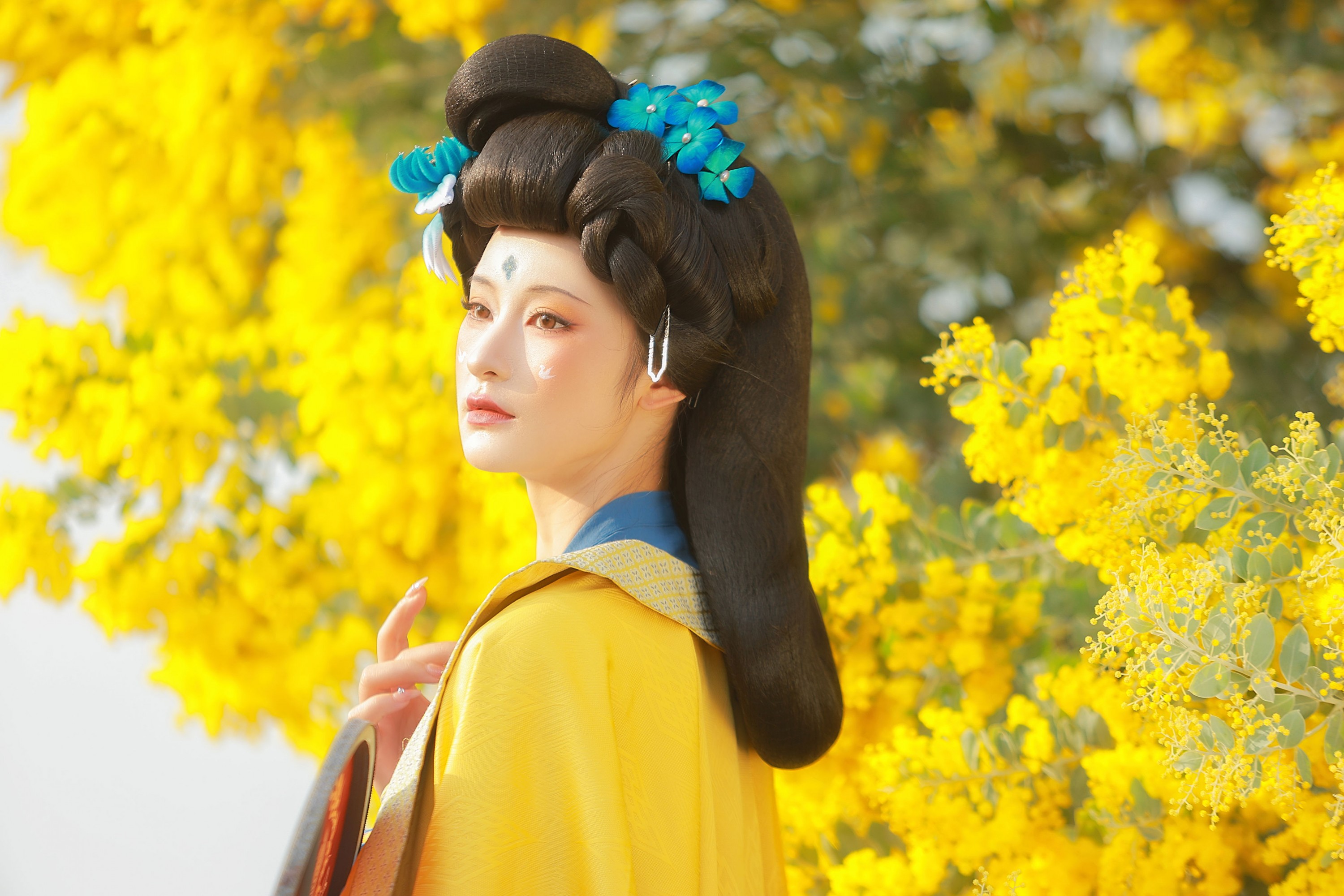 不听山 – 《唐 • 金合欢》[11P] 插图5