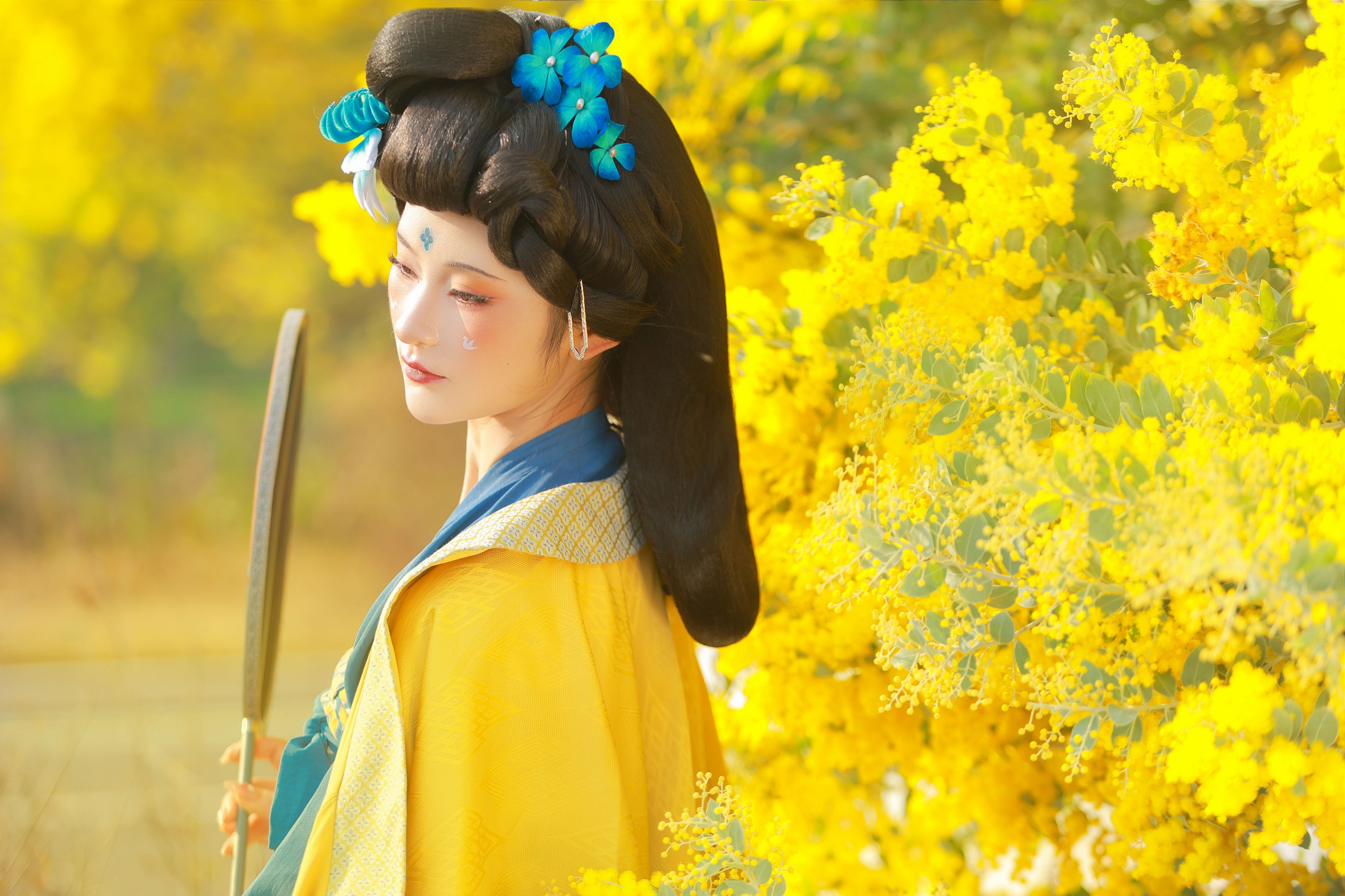 不听山 – 《唐 • 金合欢》[11P]-66COS