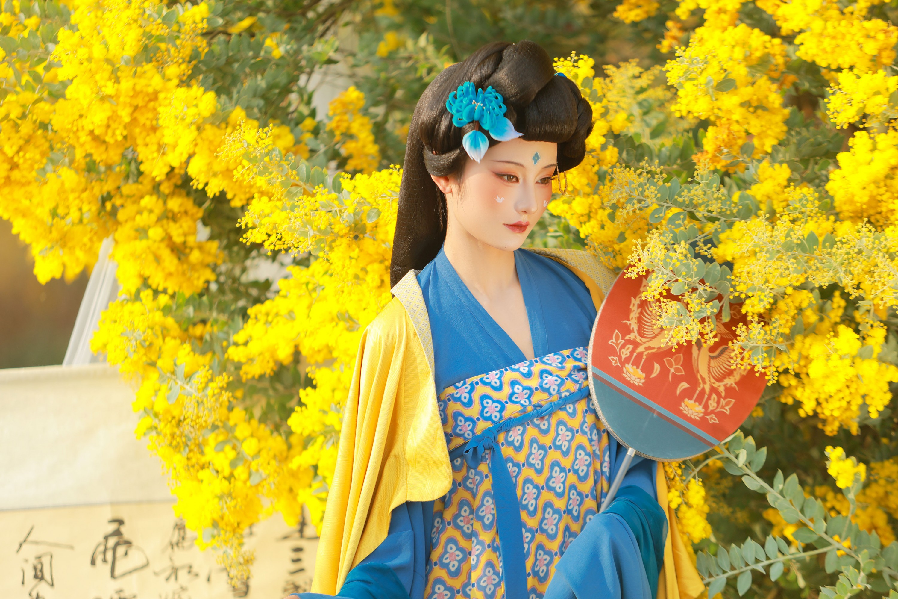 不听山 – 《唐 • 金合欢》[11P] 插图3