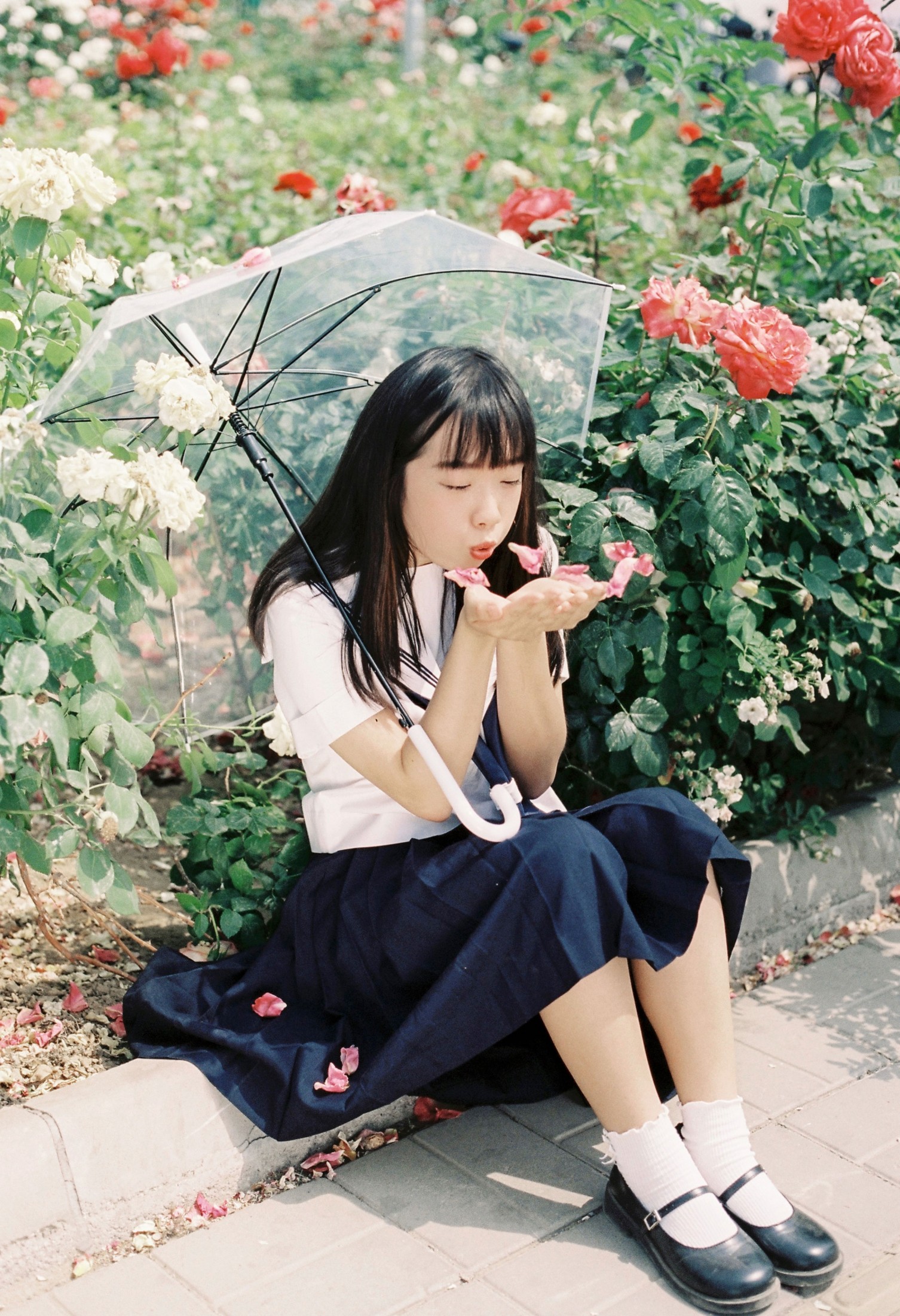 百变兔小樱 – 《花和制服少女》[13P] 插图4