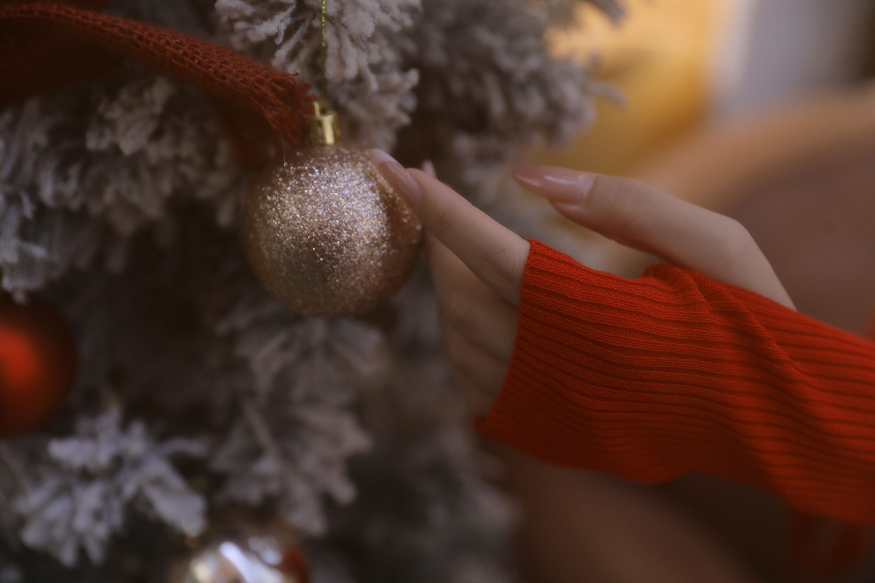 蕊蕊 – 《圣诞将至》[9P] 插图5