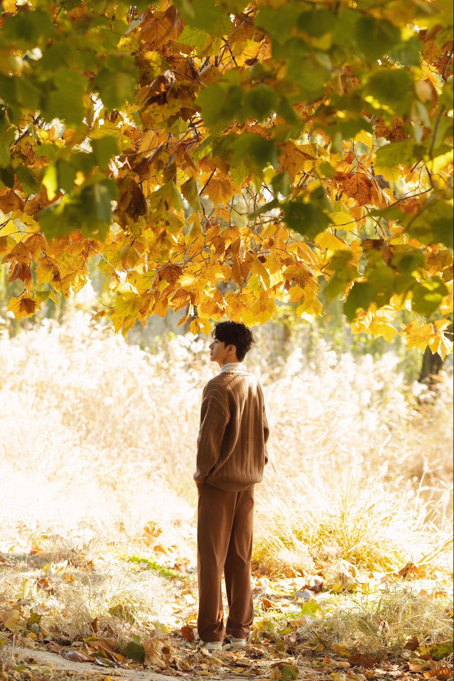 言弟弟 – 《秋意情书》[46P] 插图5