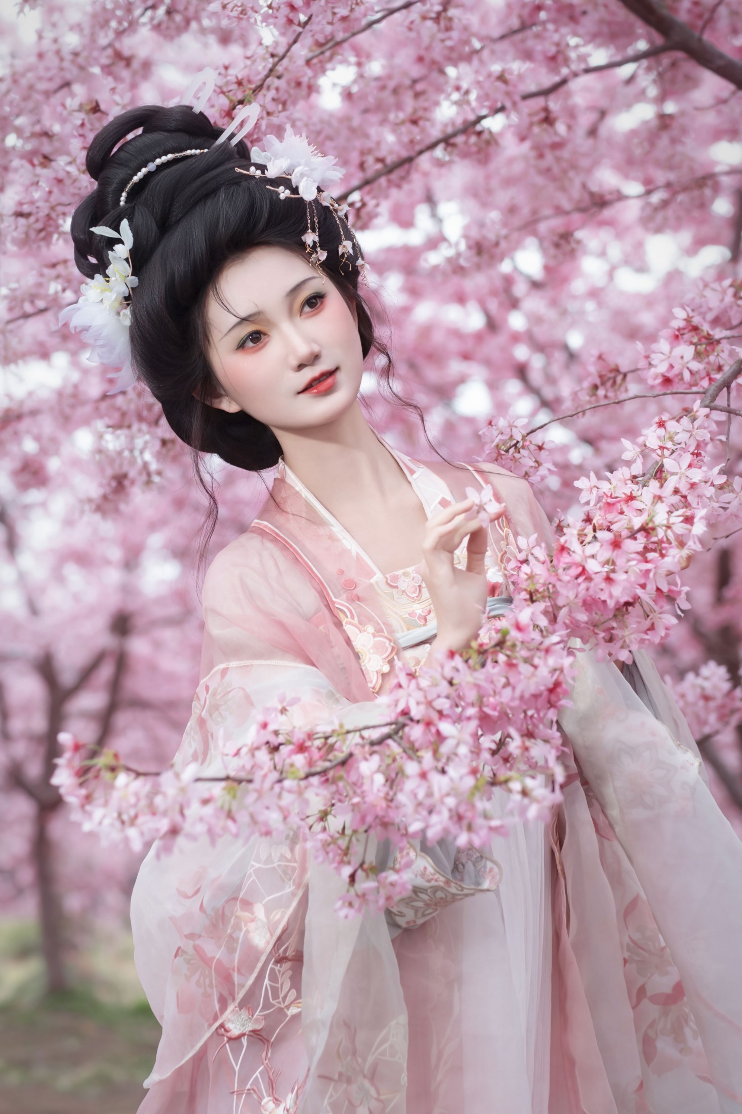 – 《春日》[18P]-66COS