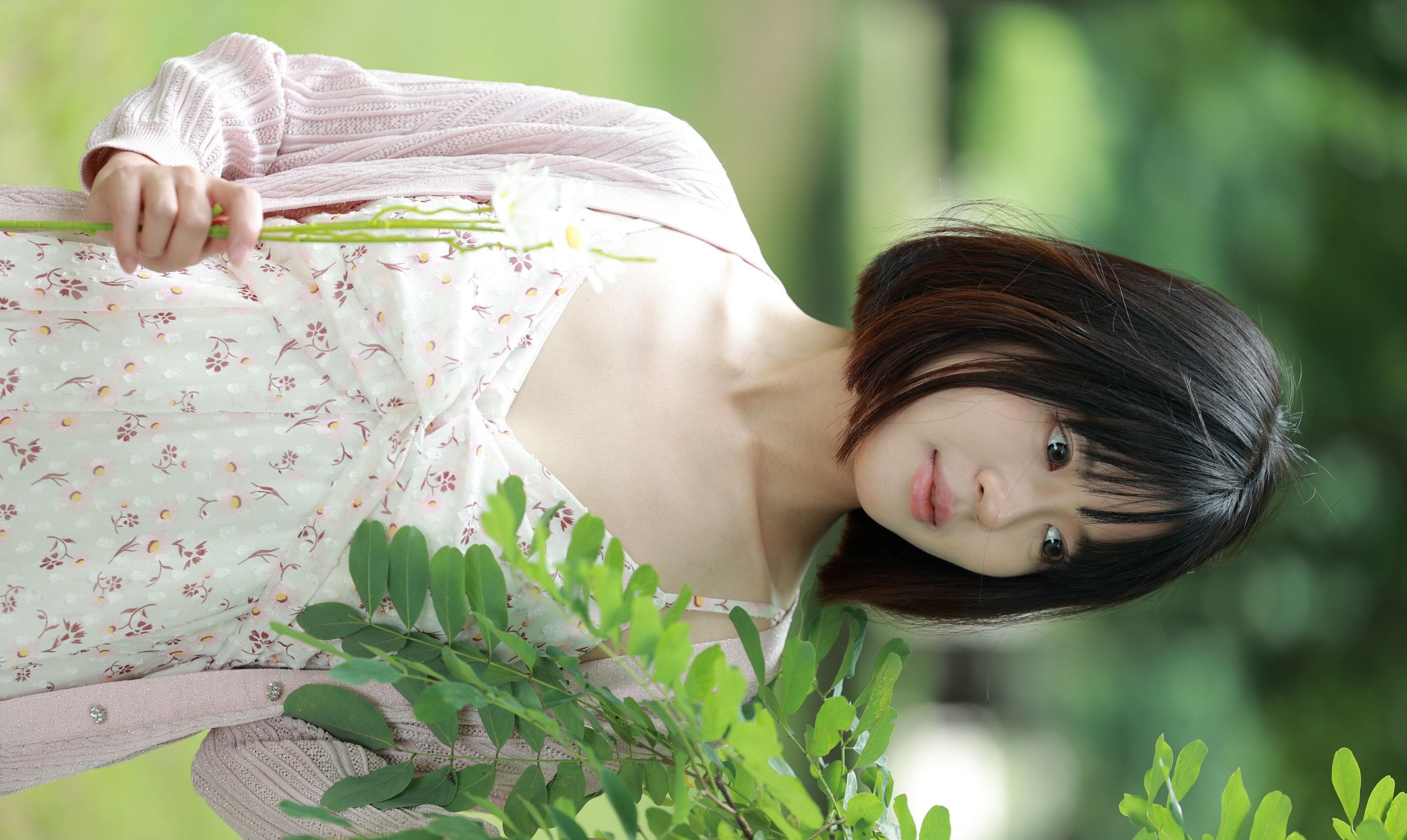 喵呜 - 《雏菊》[12P] 插图2