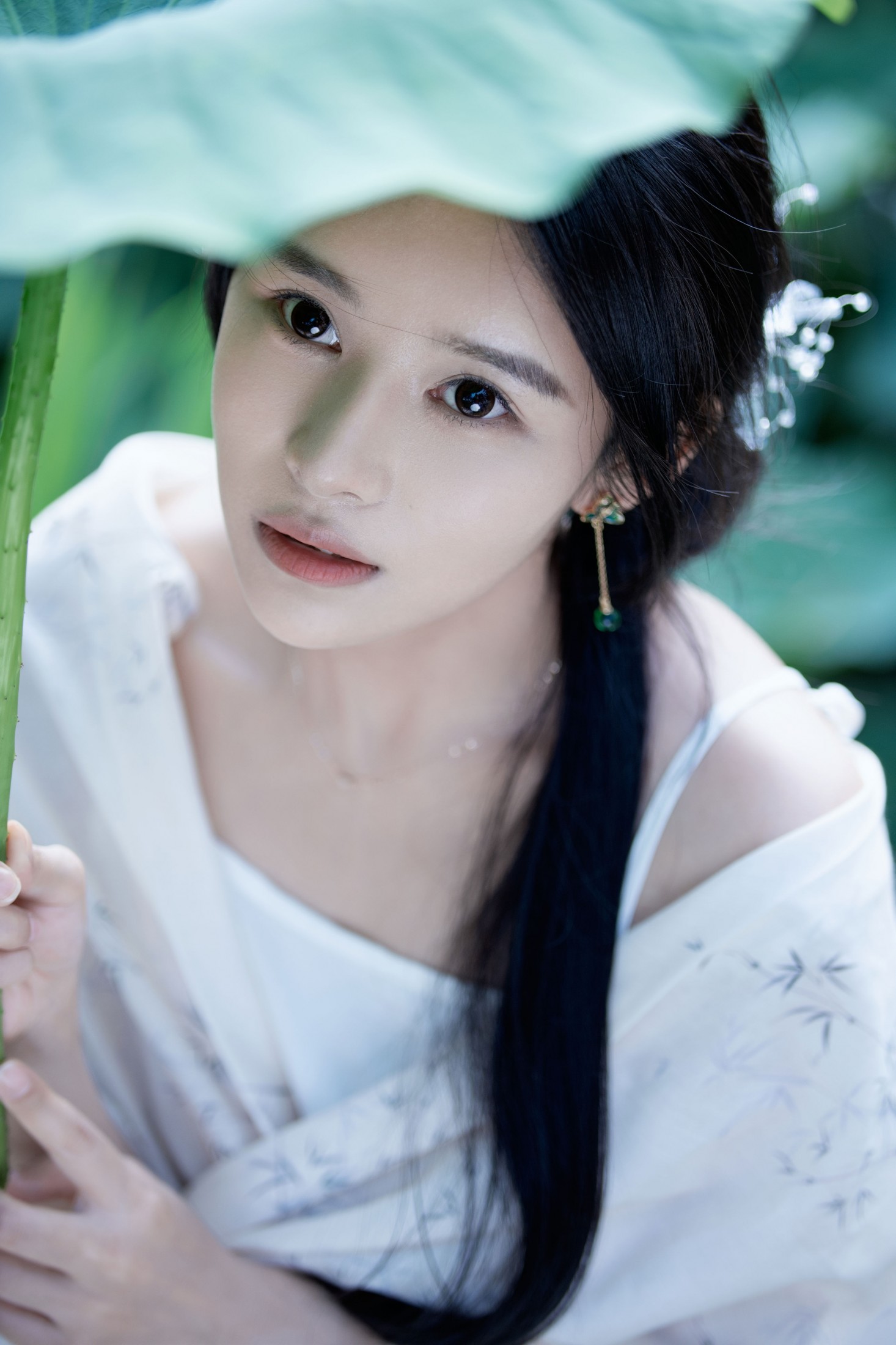 《荷塘清风》[36P] 插图5