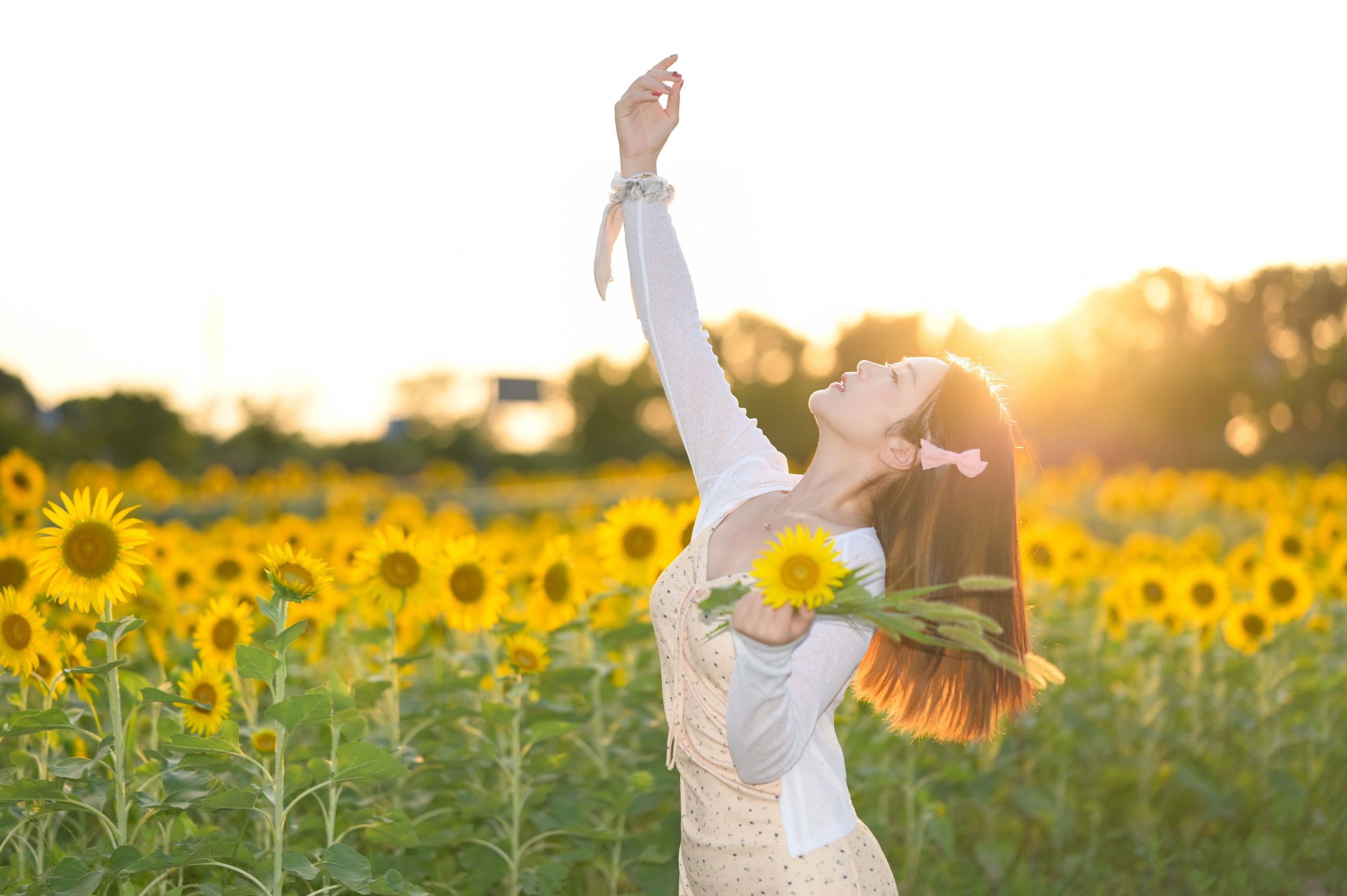 《向日葵的希望》[10P] 插图5