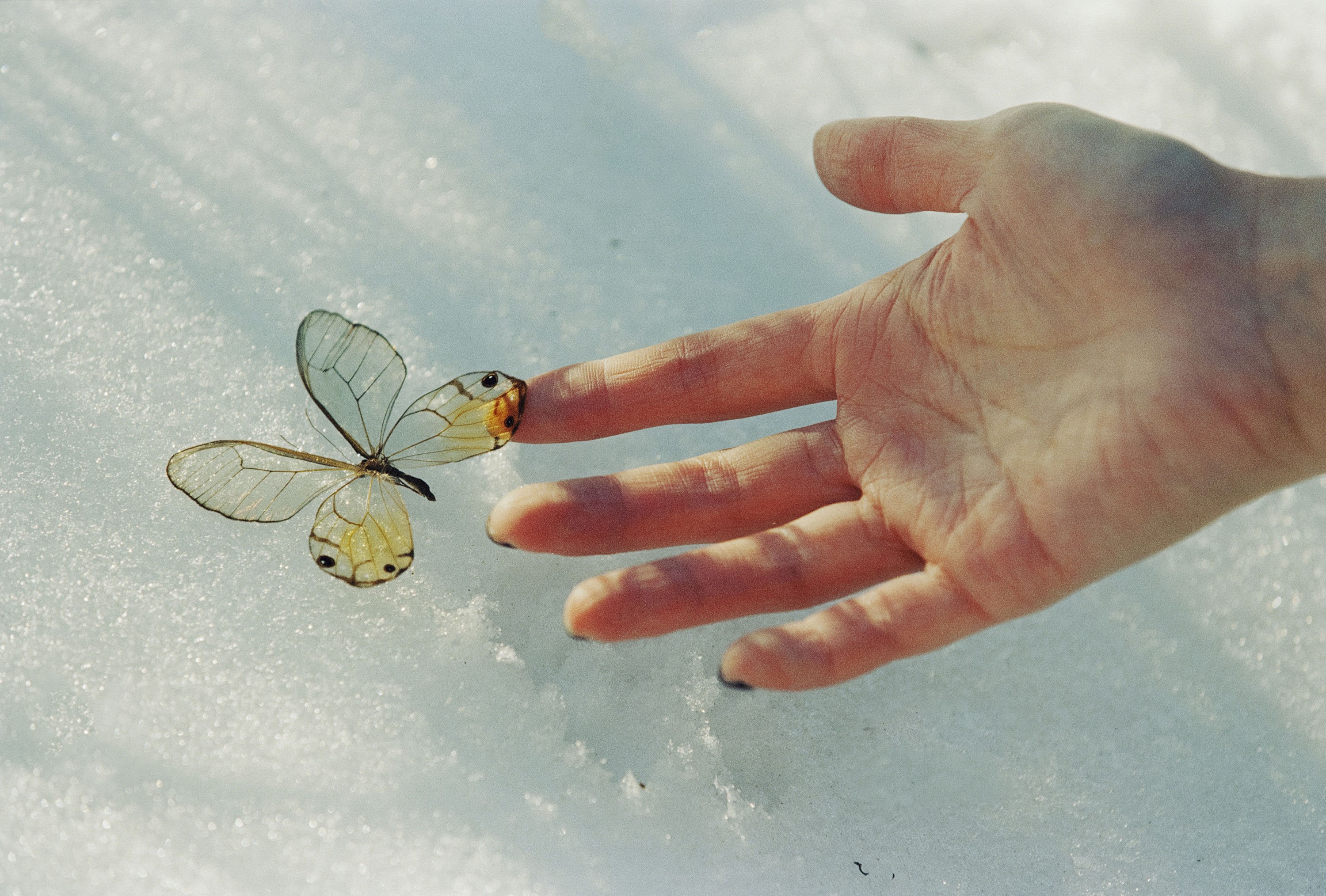 陈子翮 - 《情书》[28P] 插图5