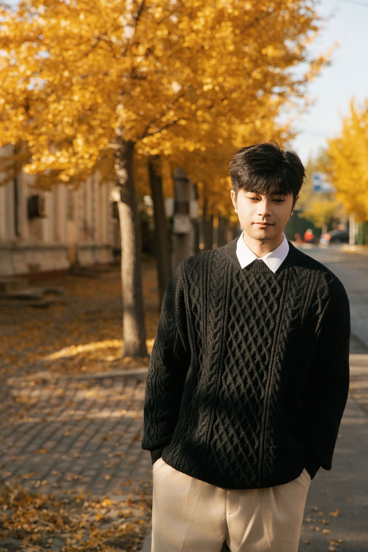 海洋Make-upman - 《秋意浓时，在银杏树下邂逅温柔时光》[24P]-66COS