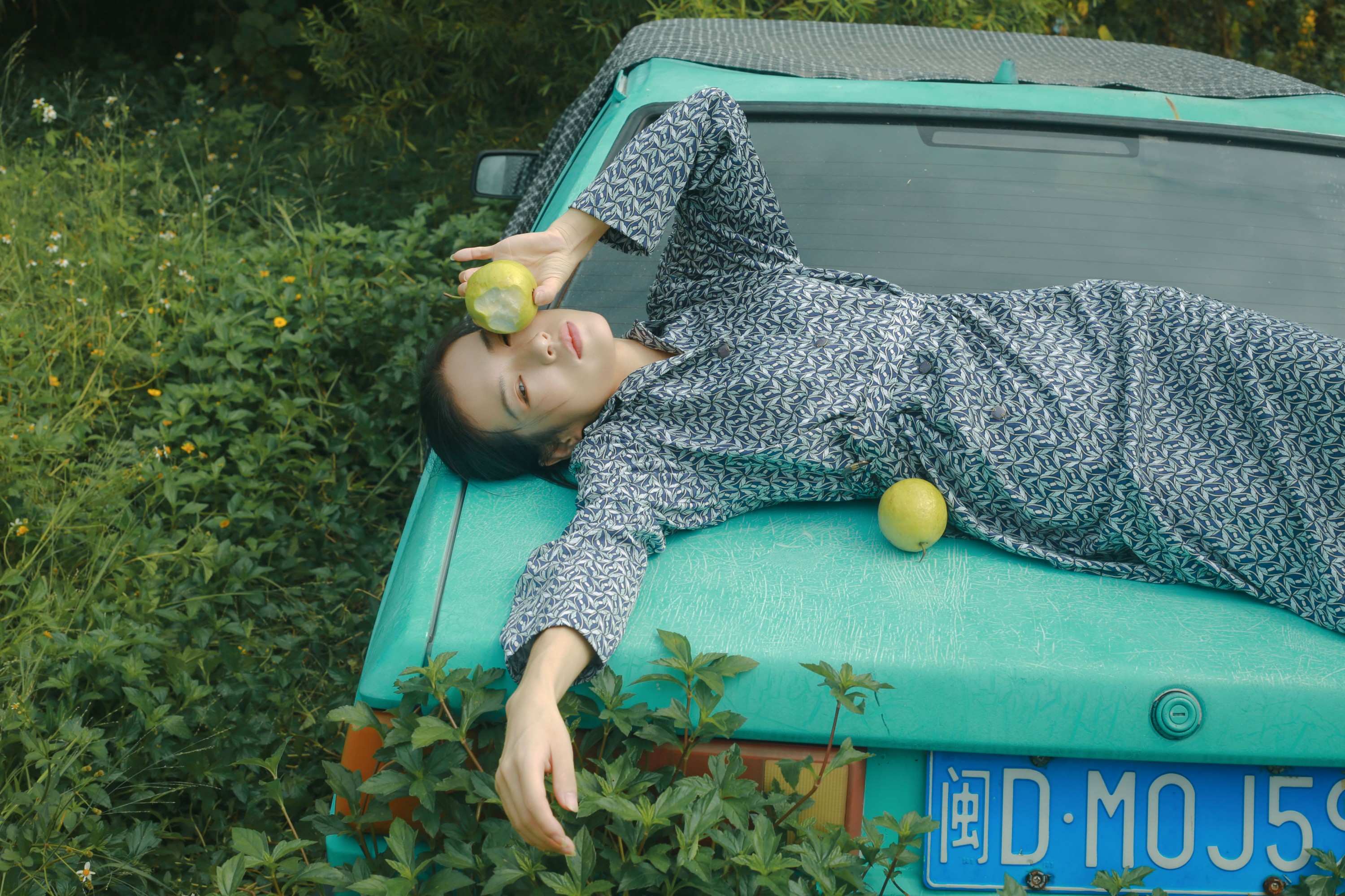 《诗》[16P]-66COS