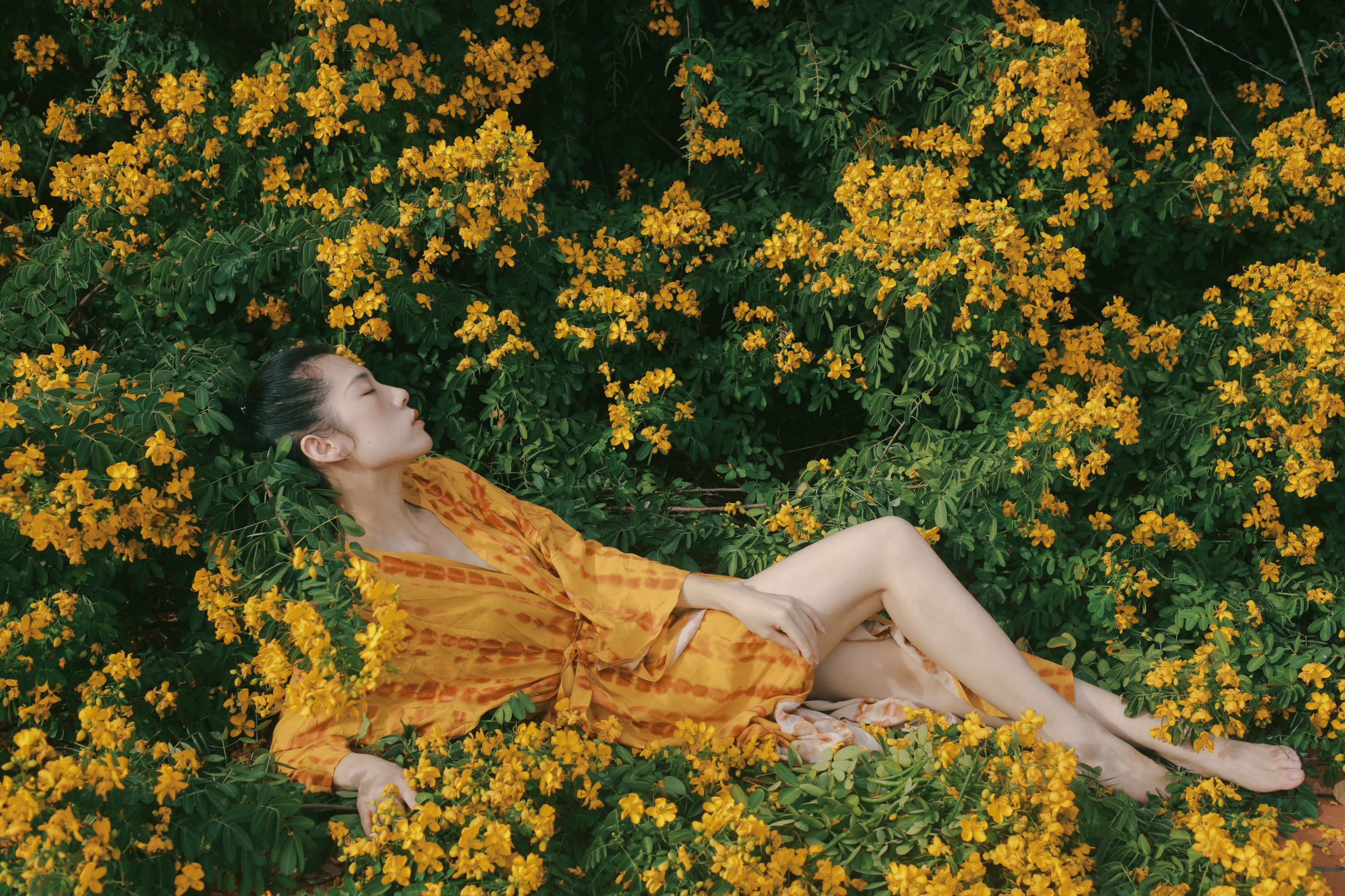 《满树黄花》[21P]-66COS