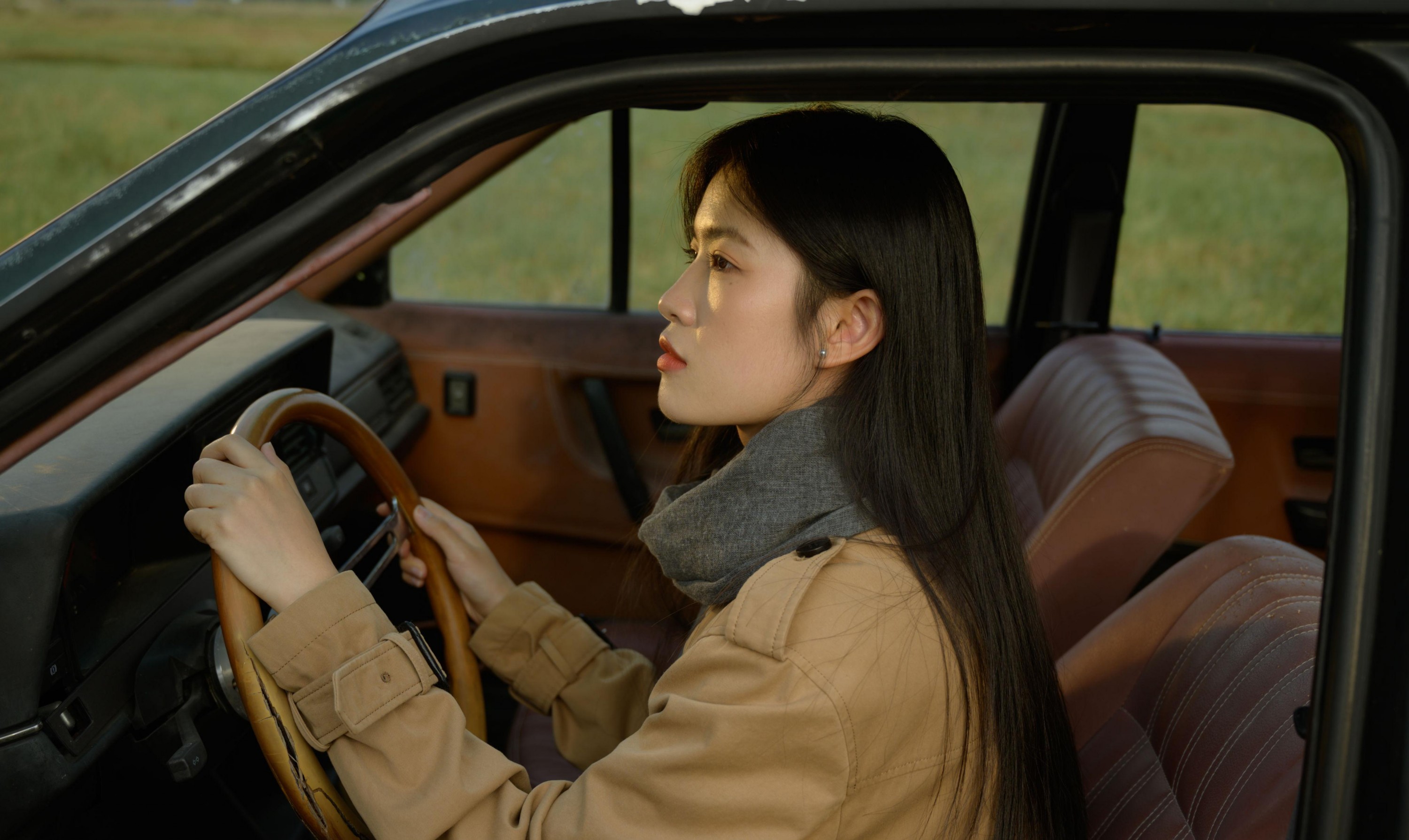 芦苇微微 - 《她不羁的脸像天色将晚》[38P] 插图2