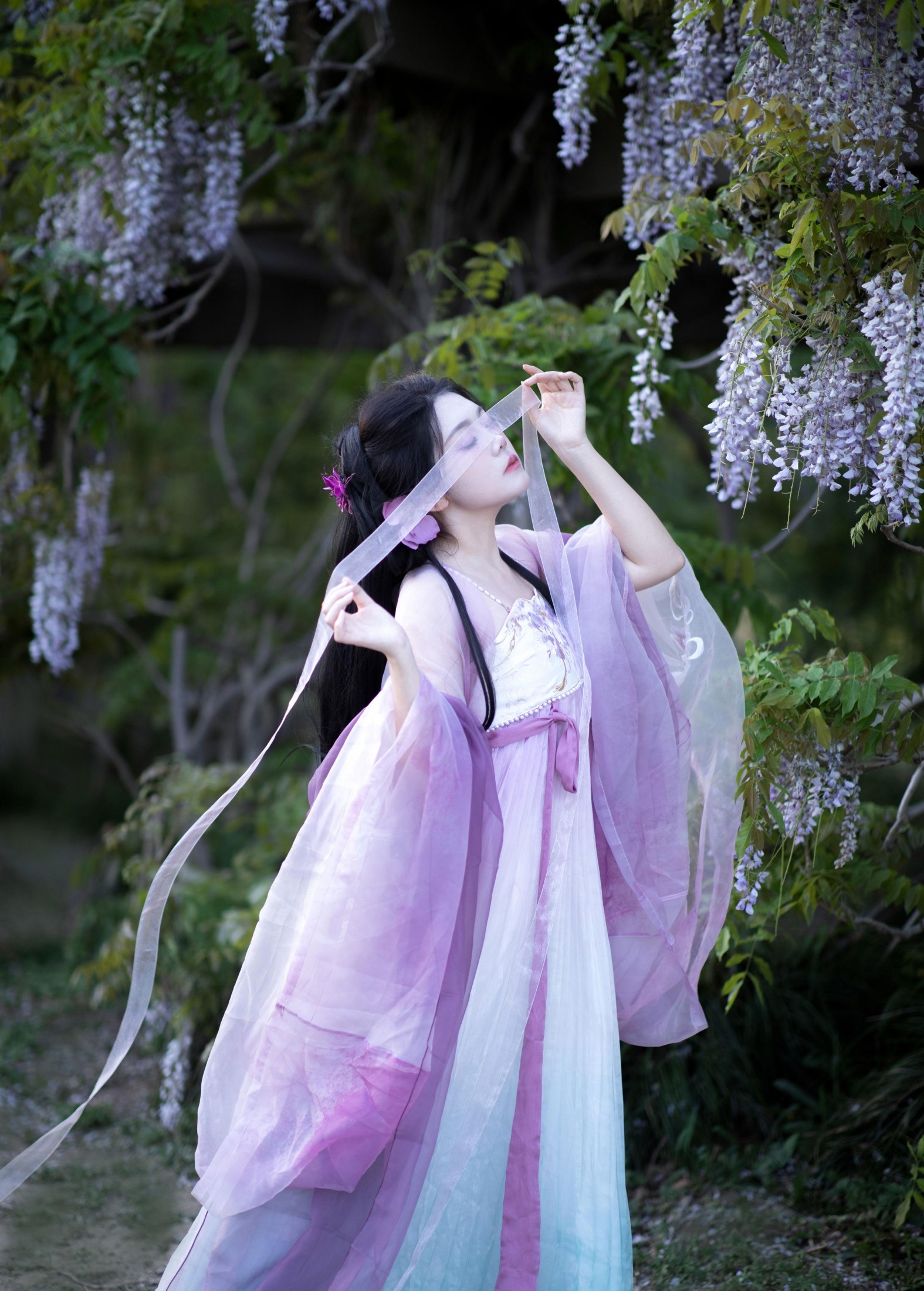 绒绒栗栗 - 《紫藤挂云木》[9P] 插图2