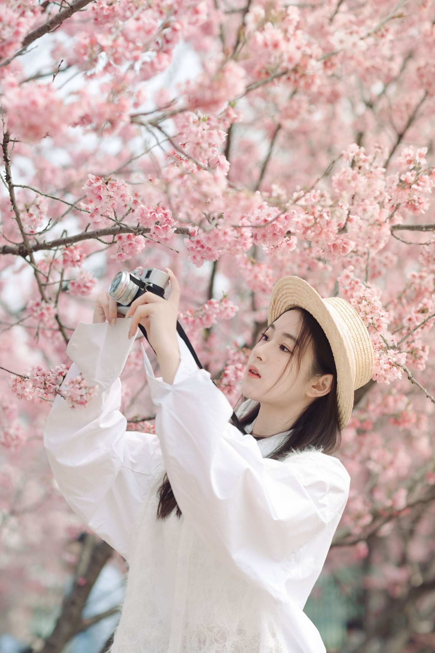 予晗 - 《樱花盛开》[37P]-66COS