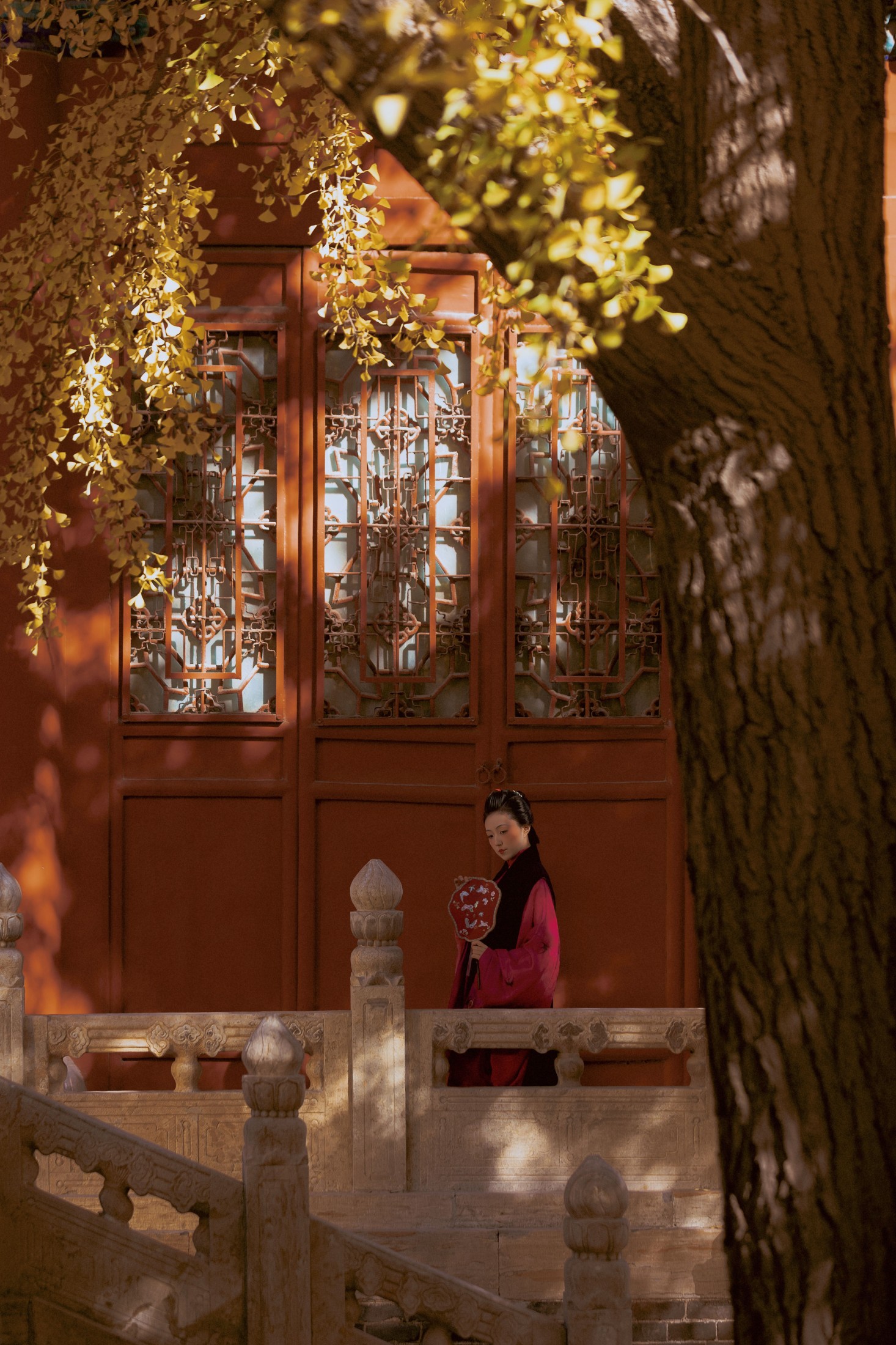 乐安 - 《盛秋银杏》[40P] 插图5