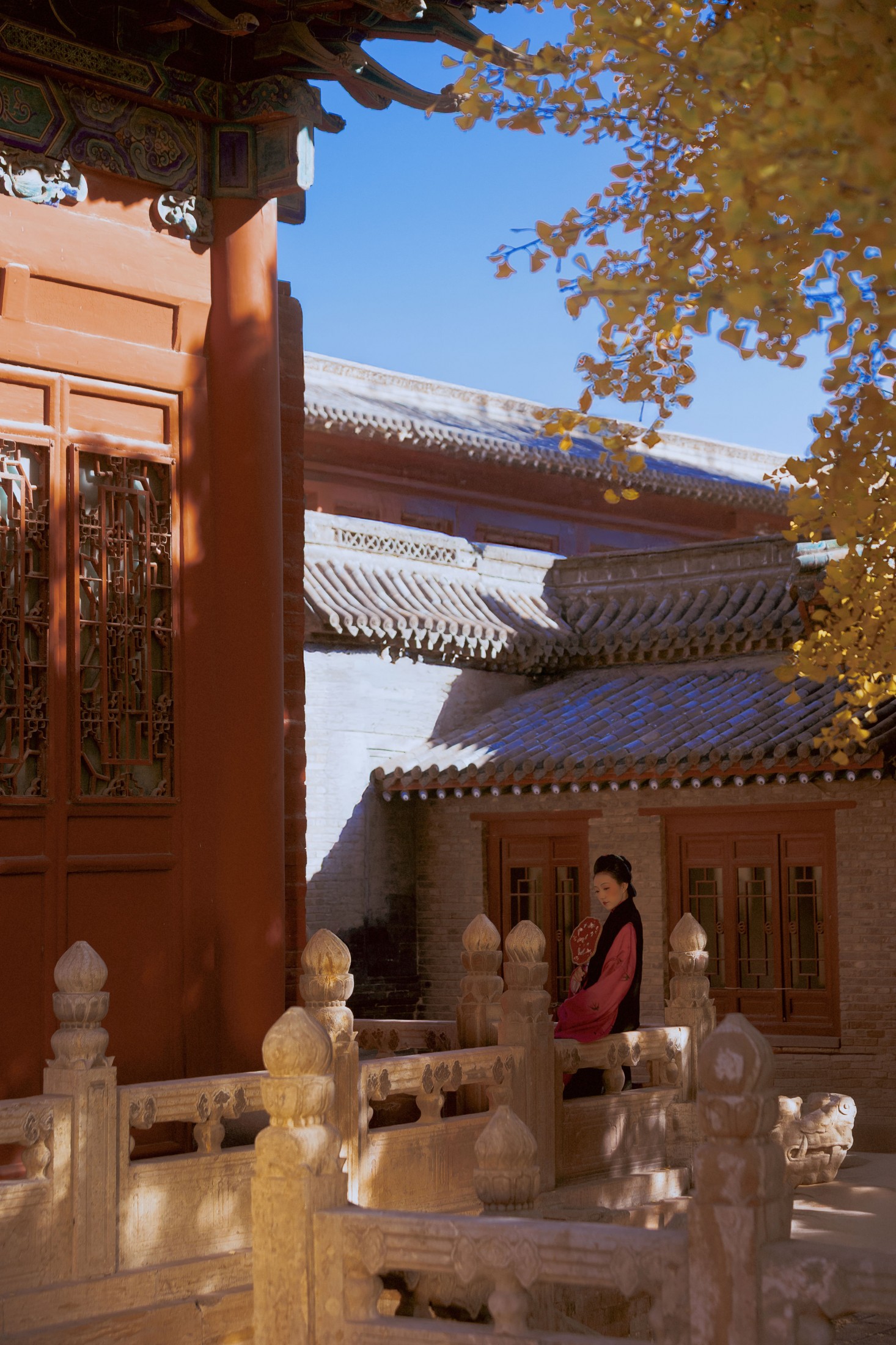 乐安 - 《盛秋银杏》[40P] 插图3