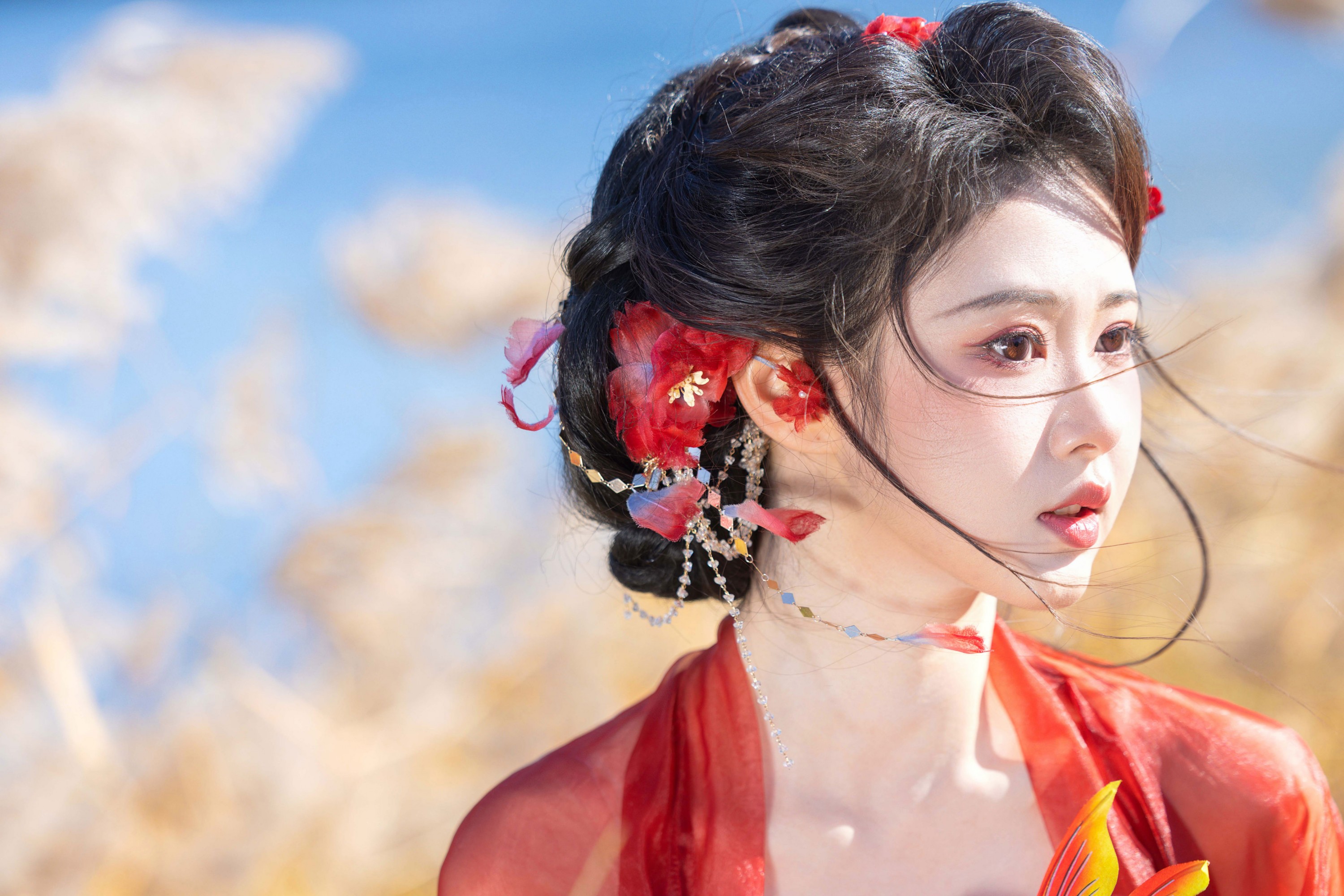 《锦鲤》[10P] 插图2