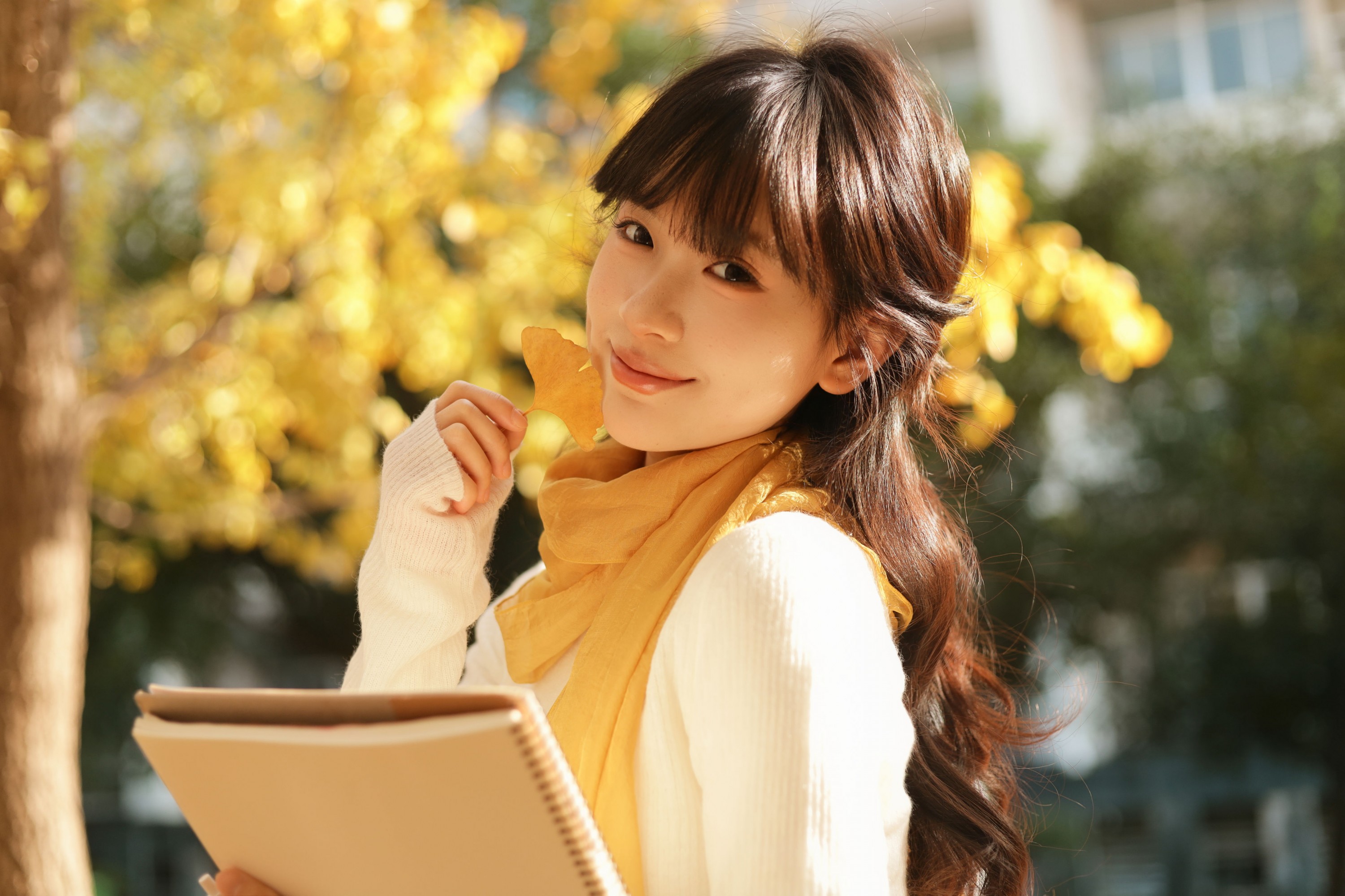 苗苗 - 《秋日银杏》[20P] 插图2