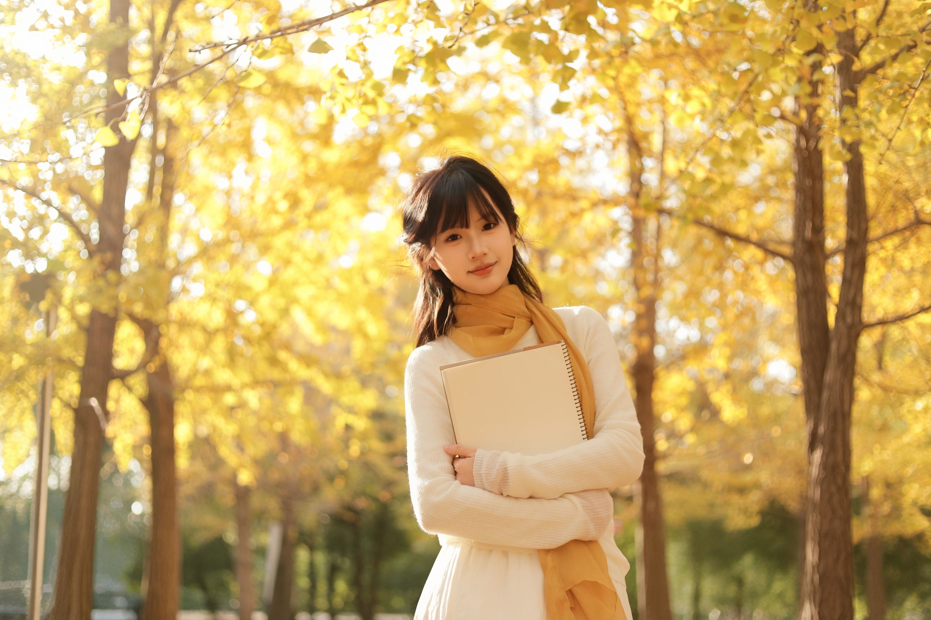 苗苗 - 《秋日银杏》[20P] 插图5