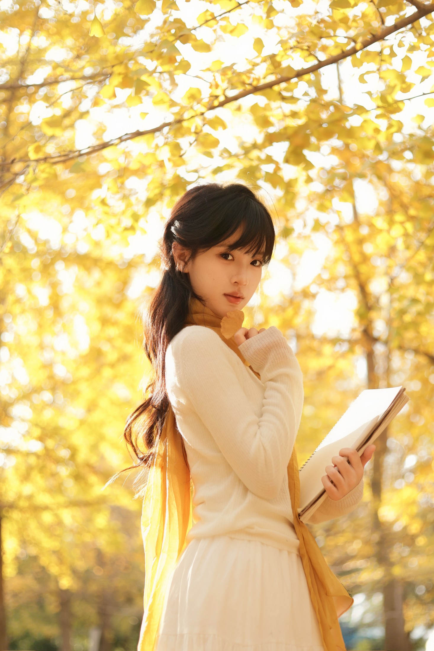 苗苗 - 《秋日银杏》[20P] 插图4