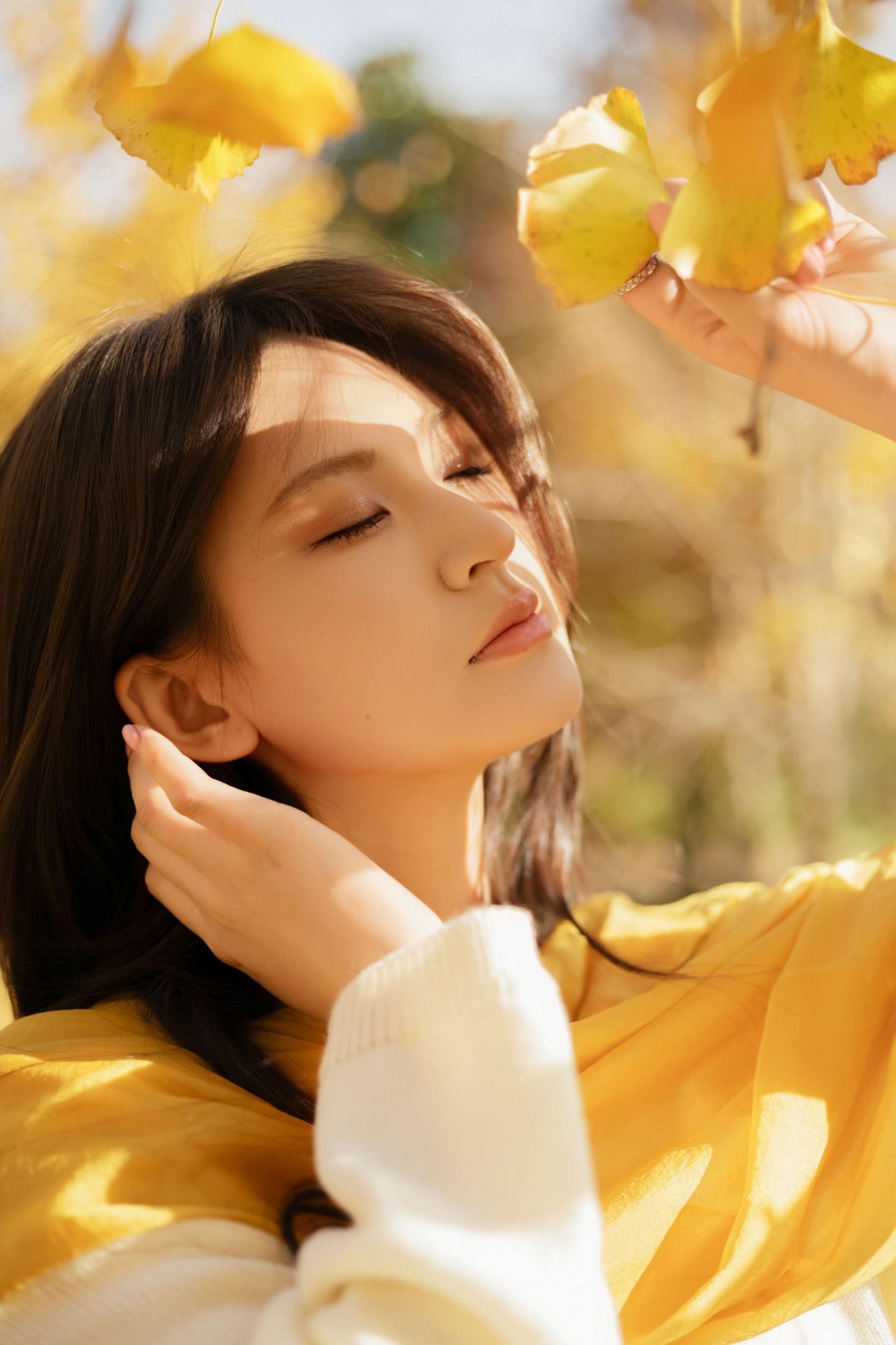 景猪 - 《金秋银杏》[35P] 插图3