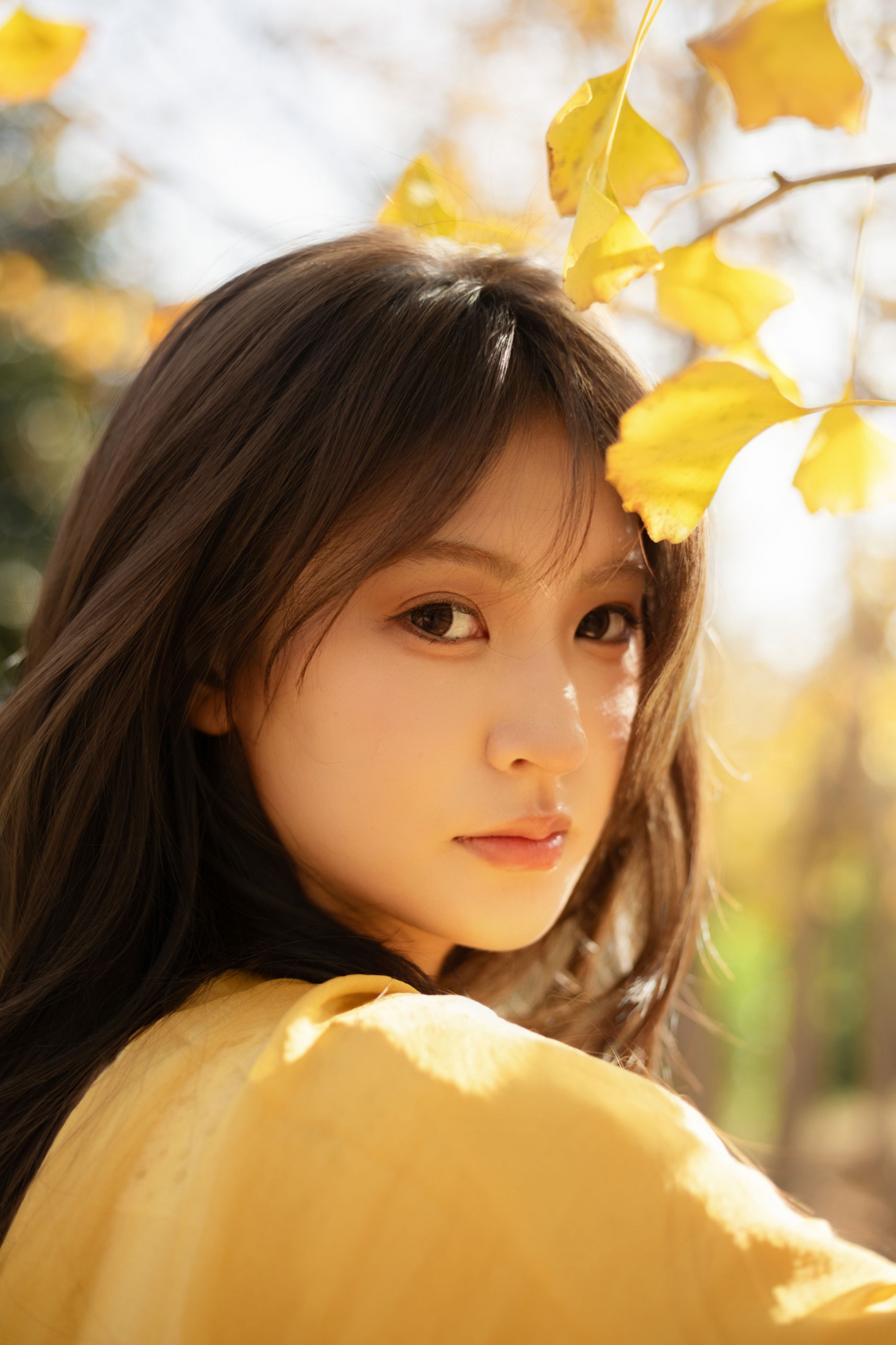 景猪 - 《金秋银杏》[35P] 插图5