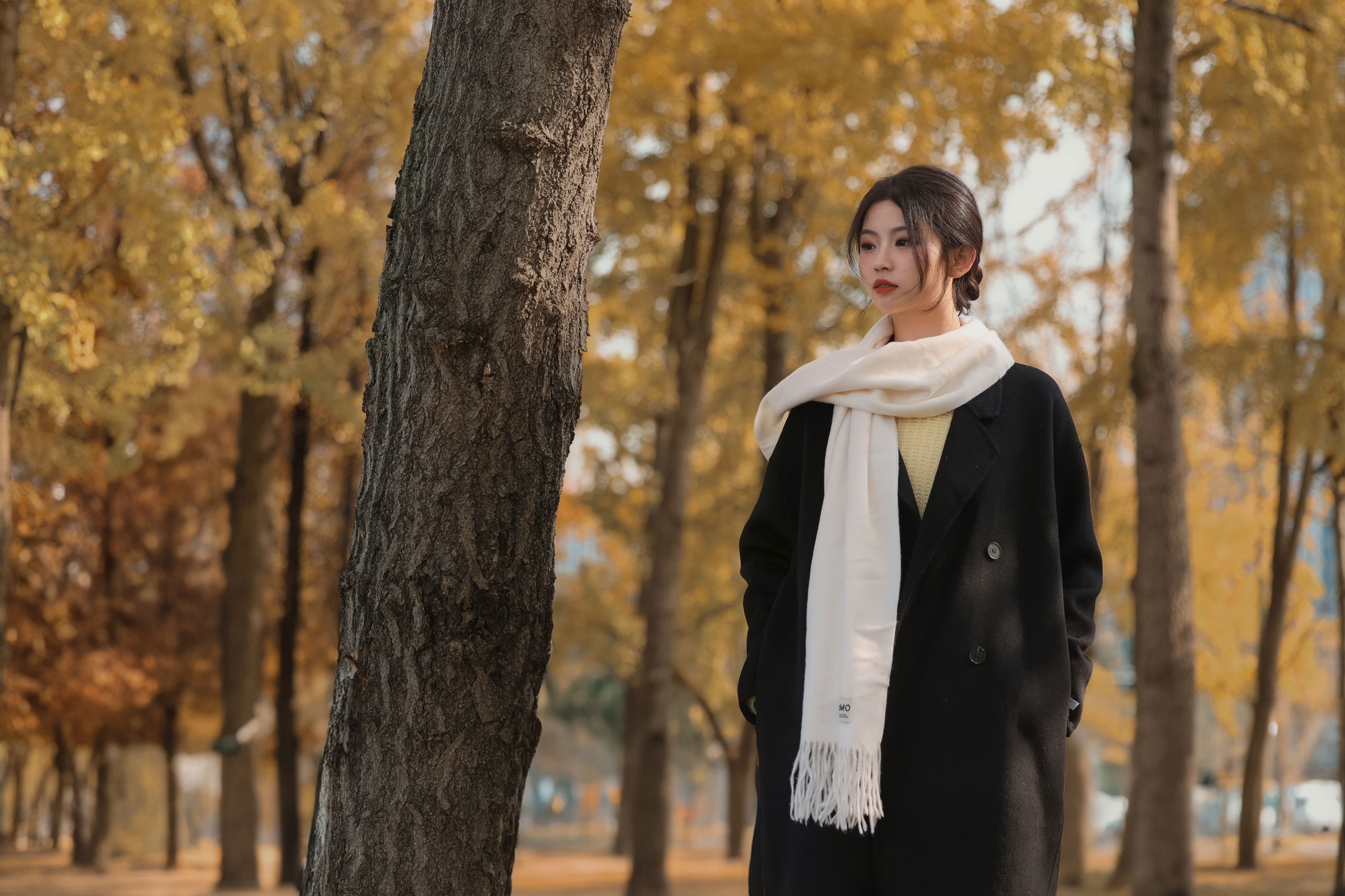 《秋季复古氛围感》[32P] 插图4