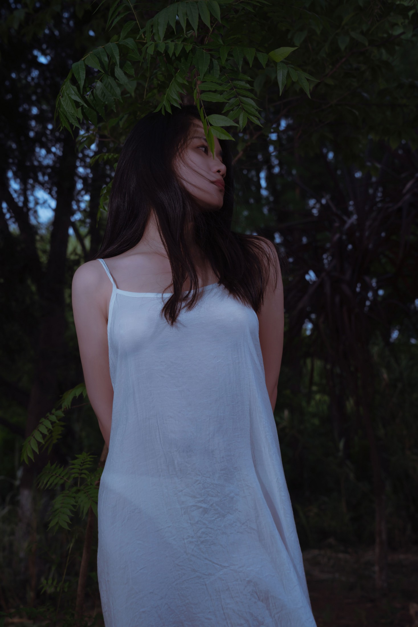 六静一 - 《情绪》[10P]-66COS