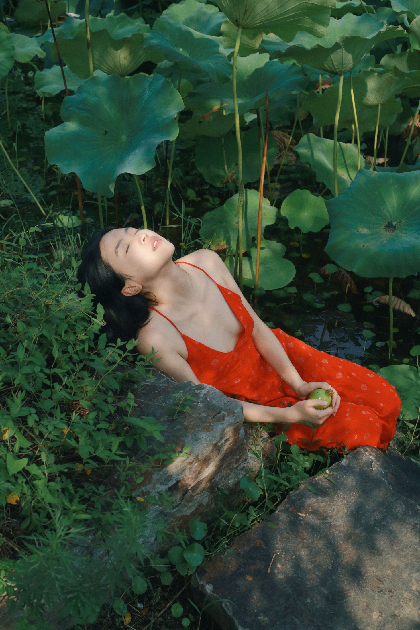 《晴》[24P]-66COS