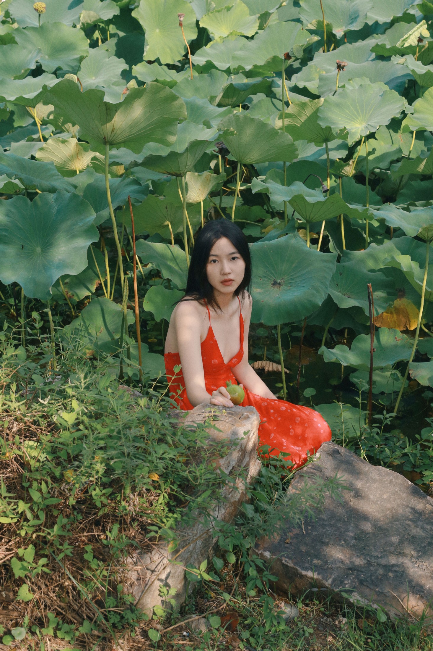 《晴》[24P] 插图4