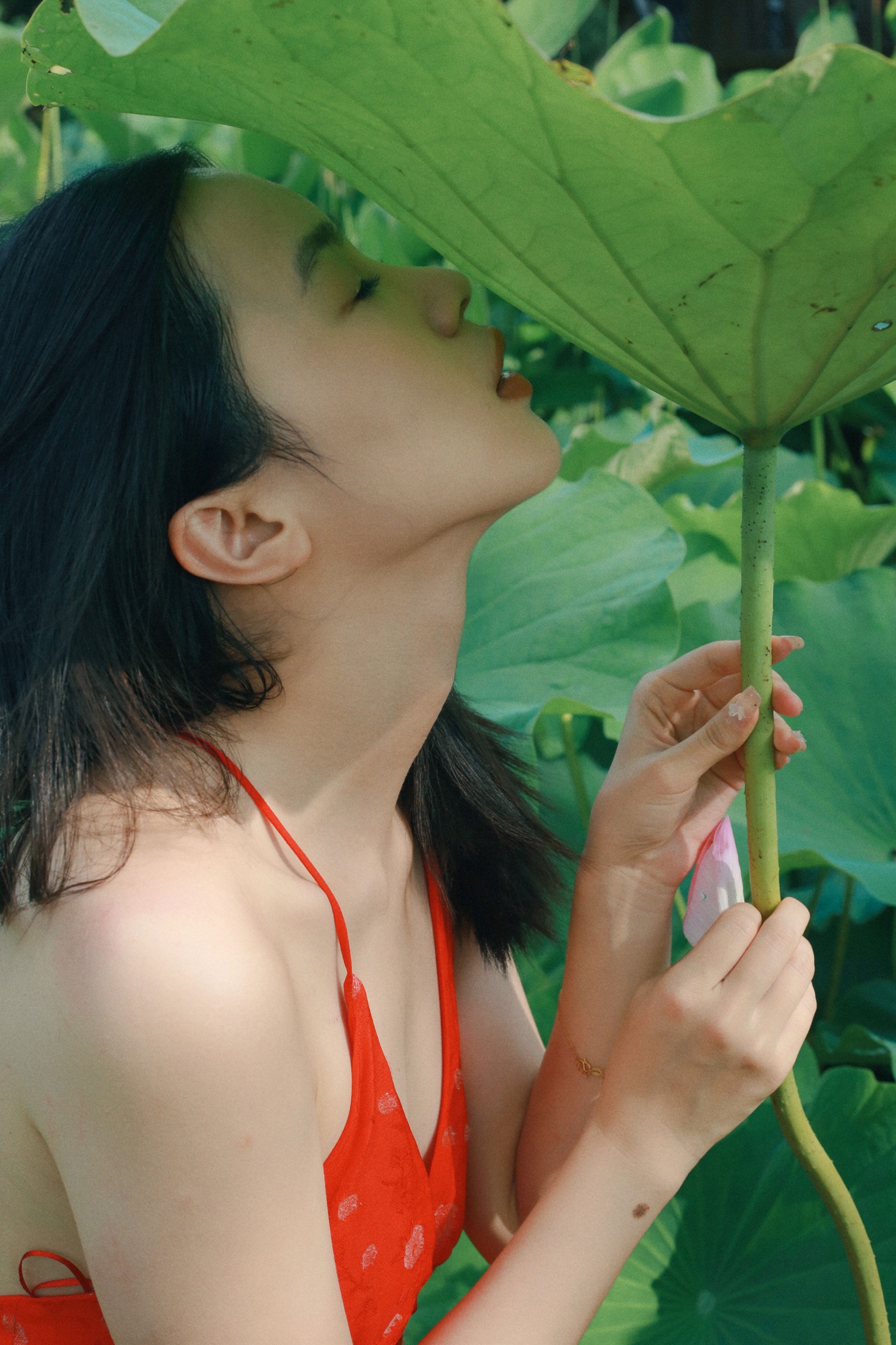 《晴》[24P] 插图5