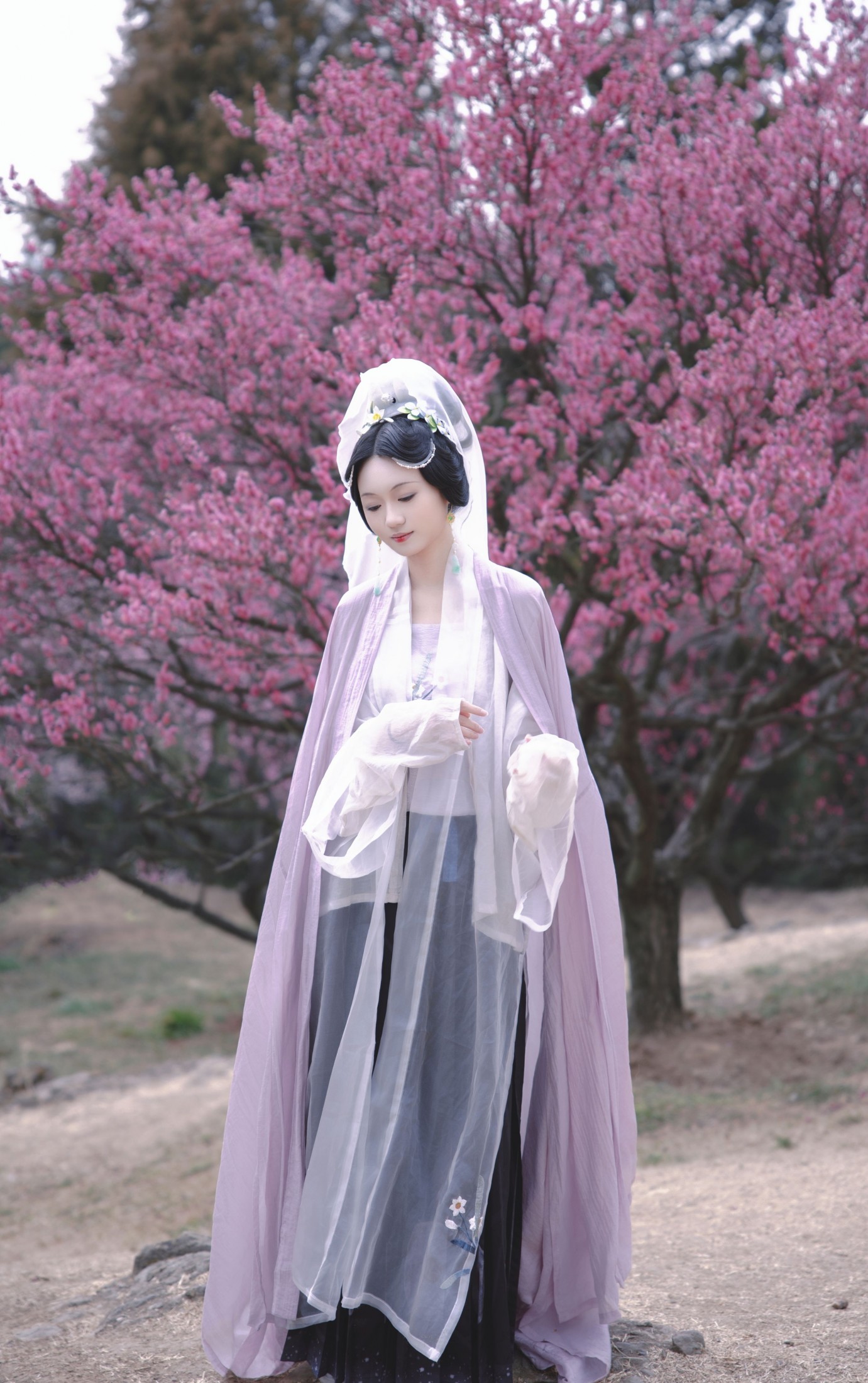 观湳 - 《倚东风，一笑嫣然》[9P] 插图3