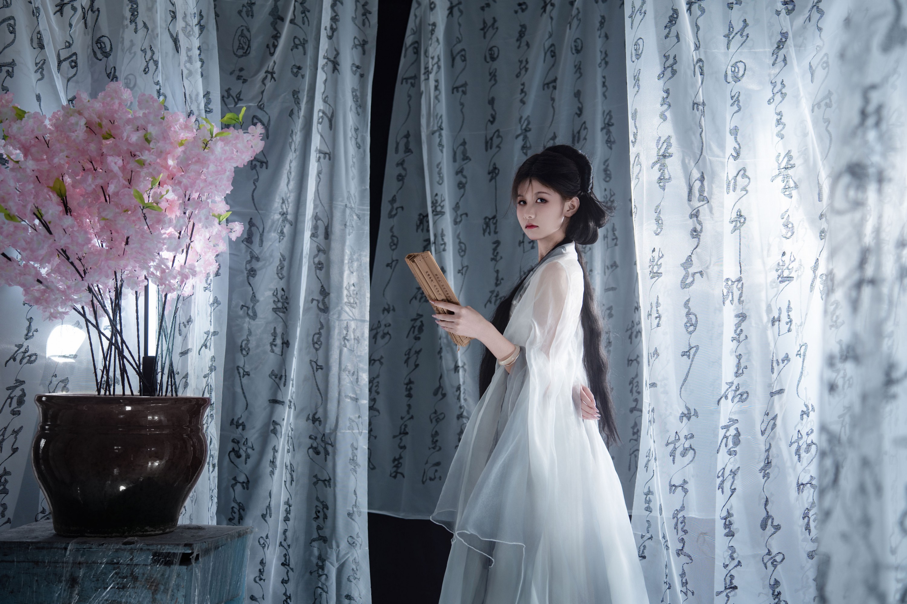 《一剑藏狭义，一卷纳山河》[13P] 插图4