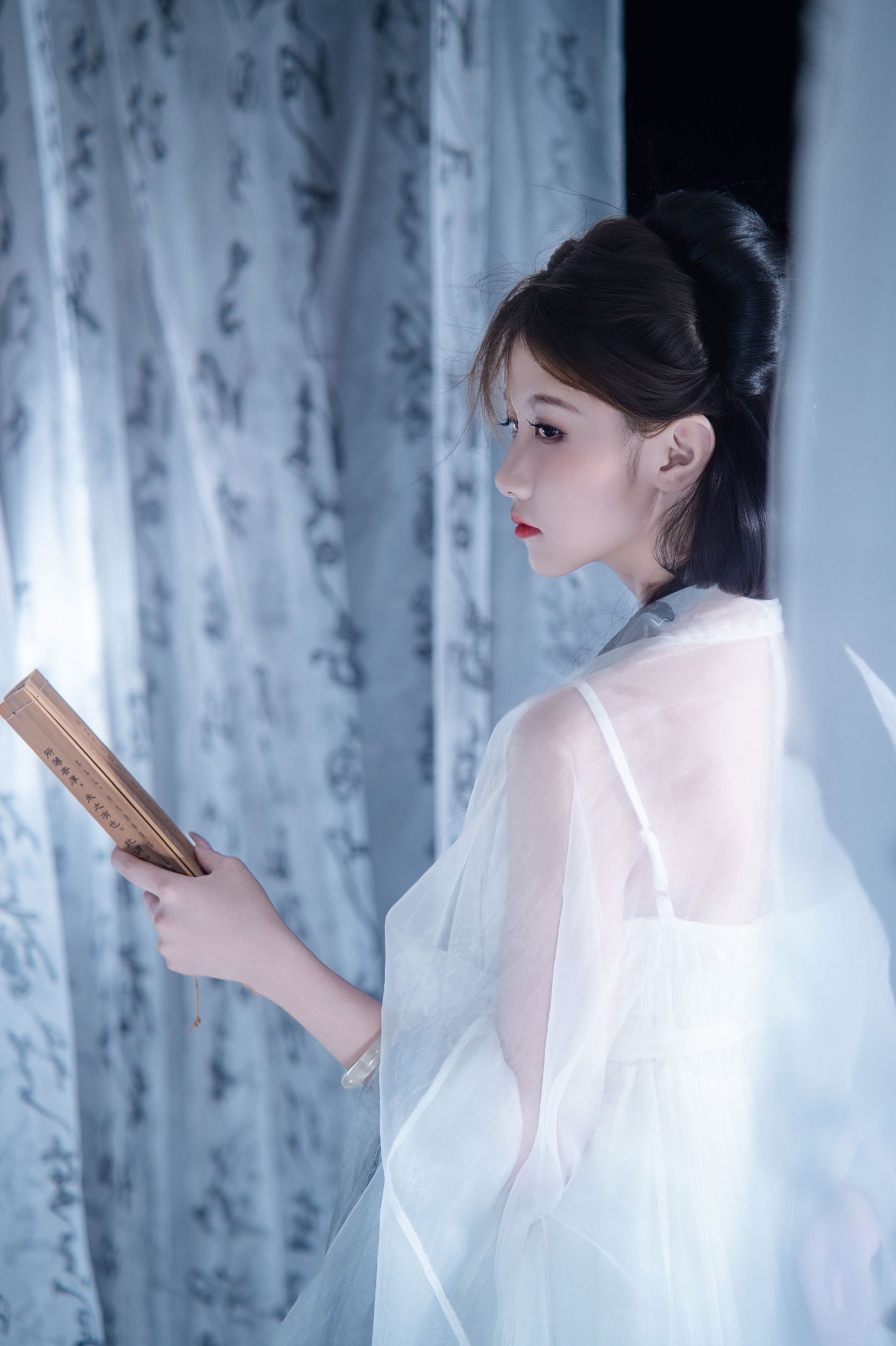 《一剑藏狭义，一卷纳山河》[13P] 插图5